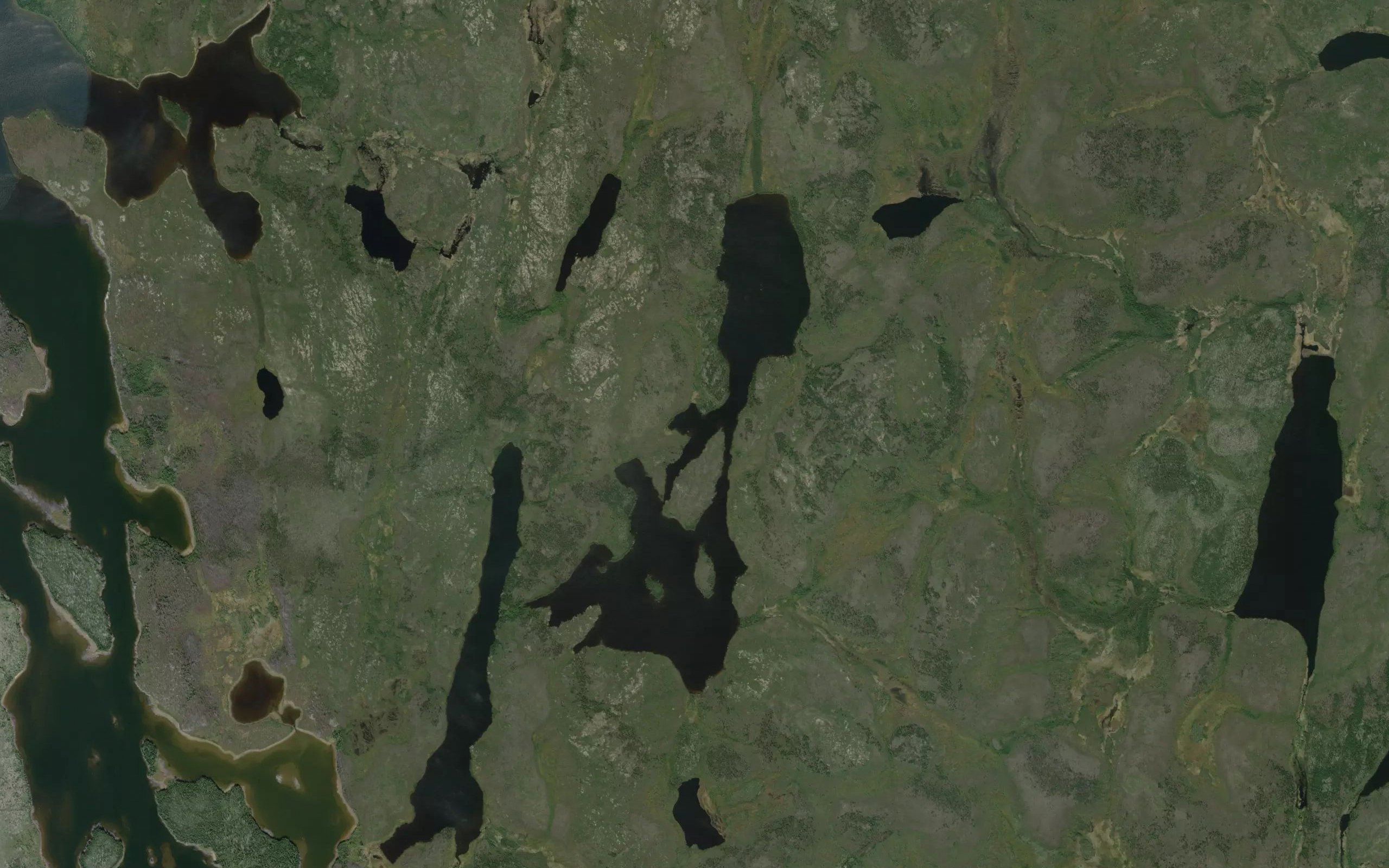 MacKelvie Lake