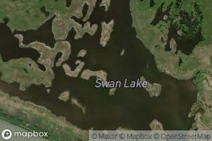 Swan Lake