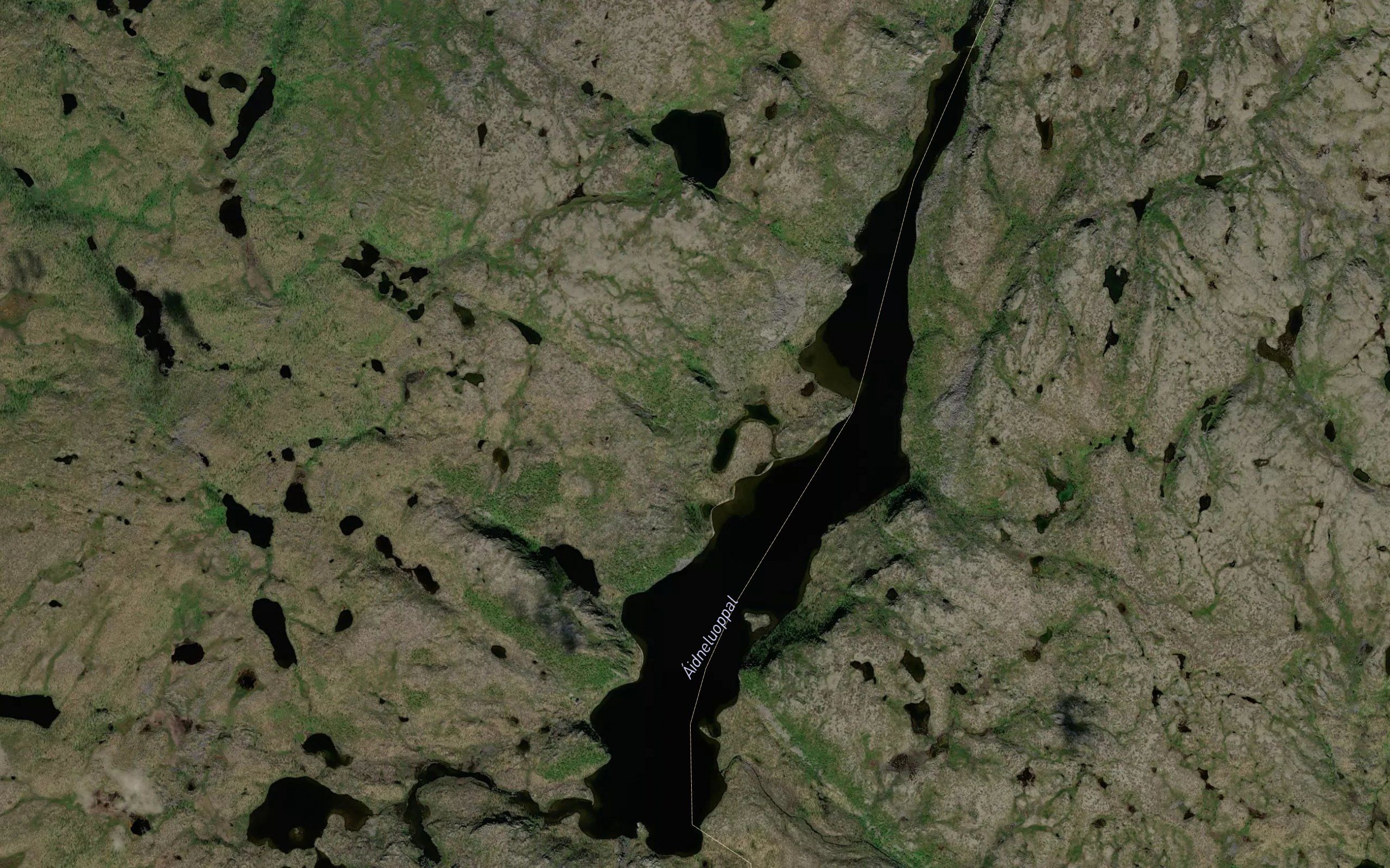 Aidneluoppal