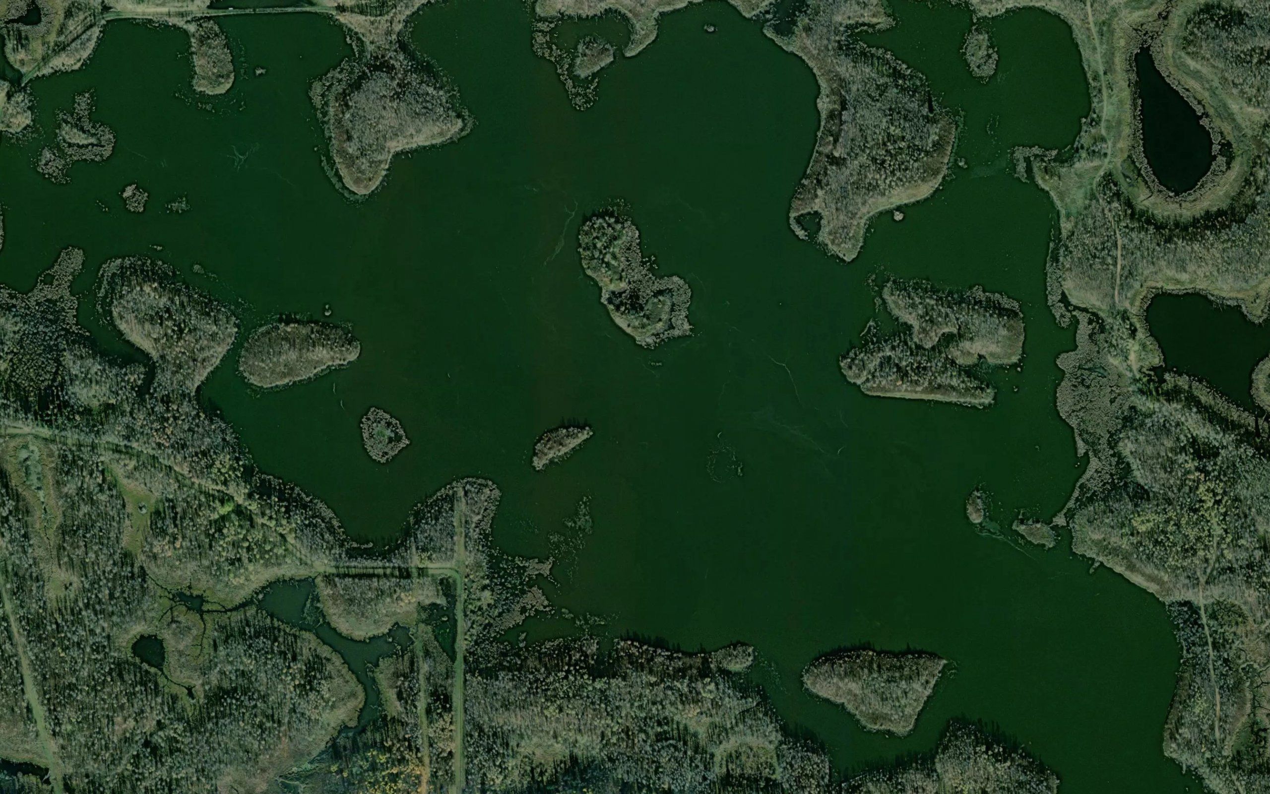 Blackfoot Lake