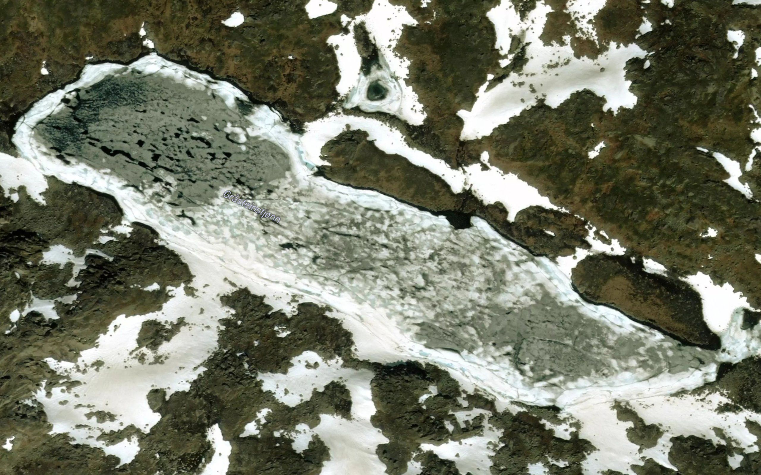 Grasteinstjorn