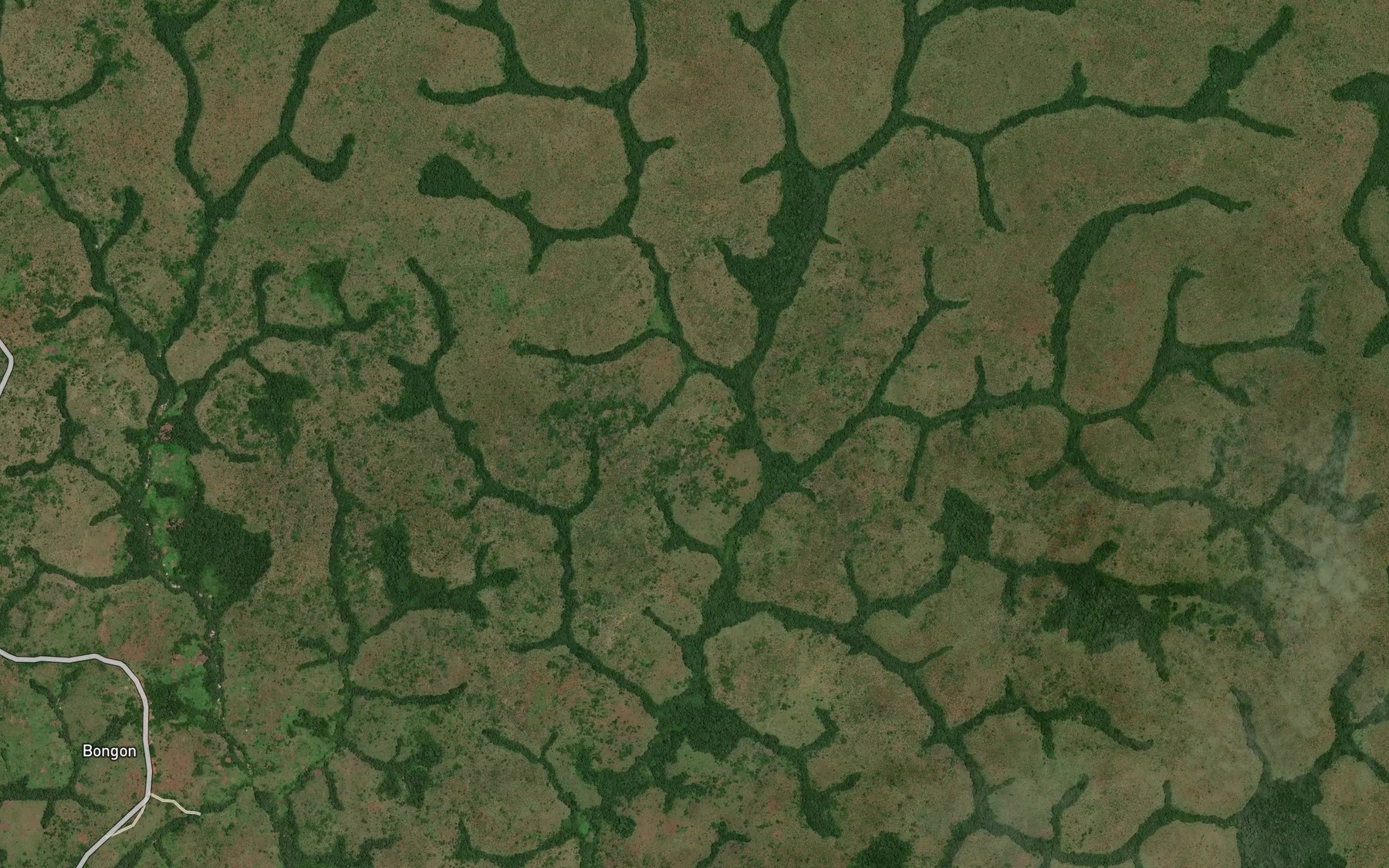 Satellite map of the Bangoundou