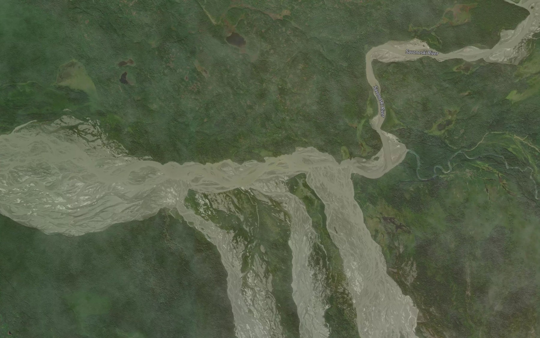 Satellite map of the Rainbow River