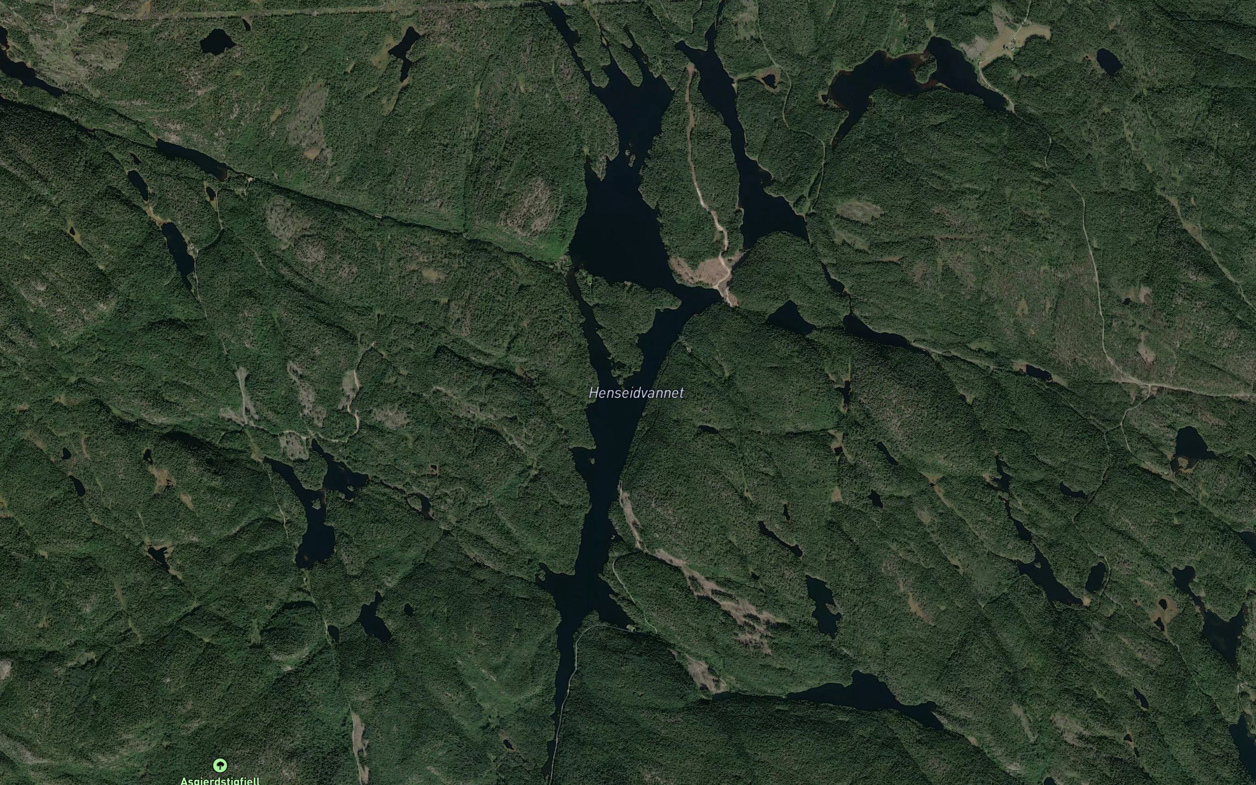 Henseidvannet