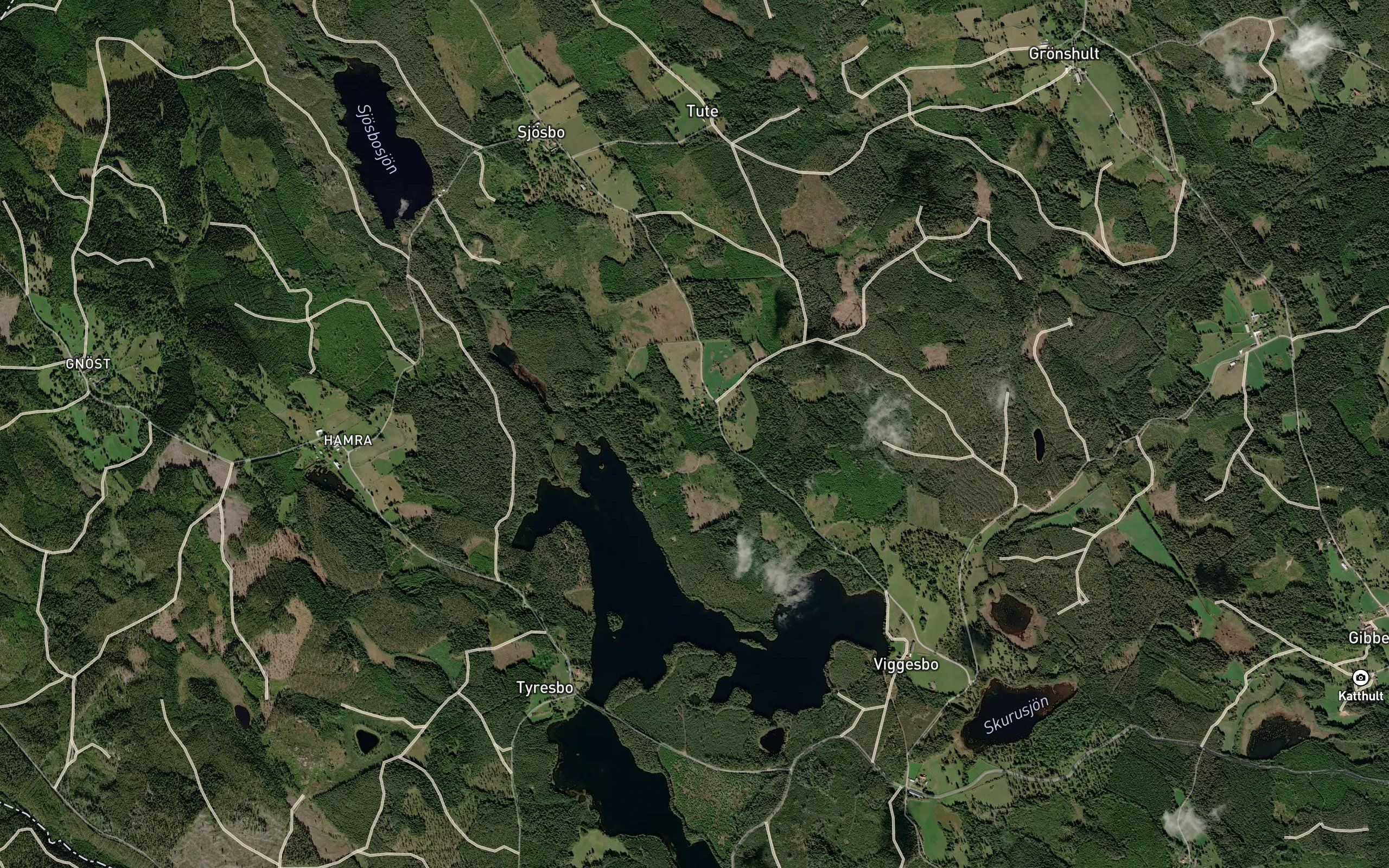 Hjorten