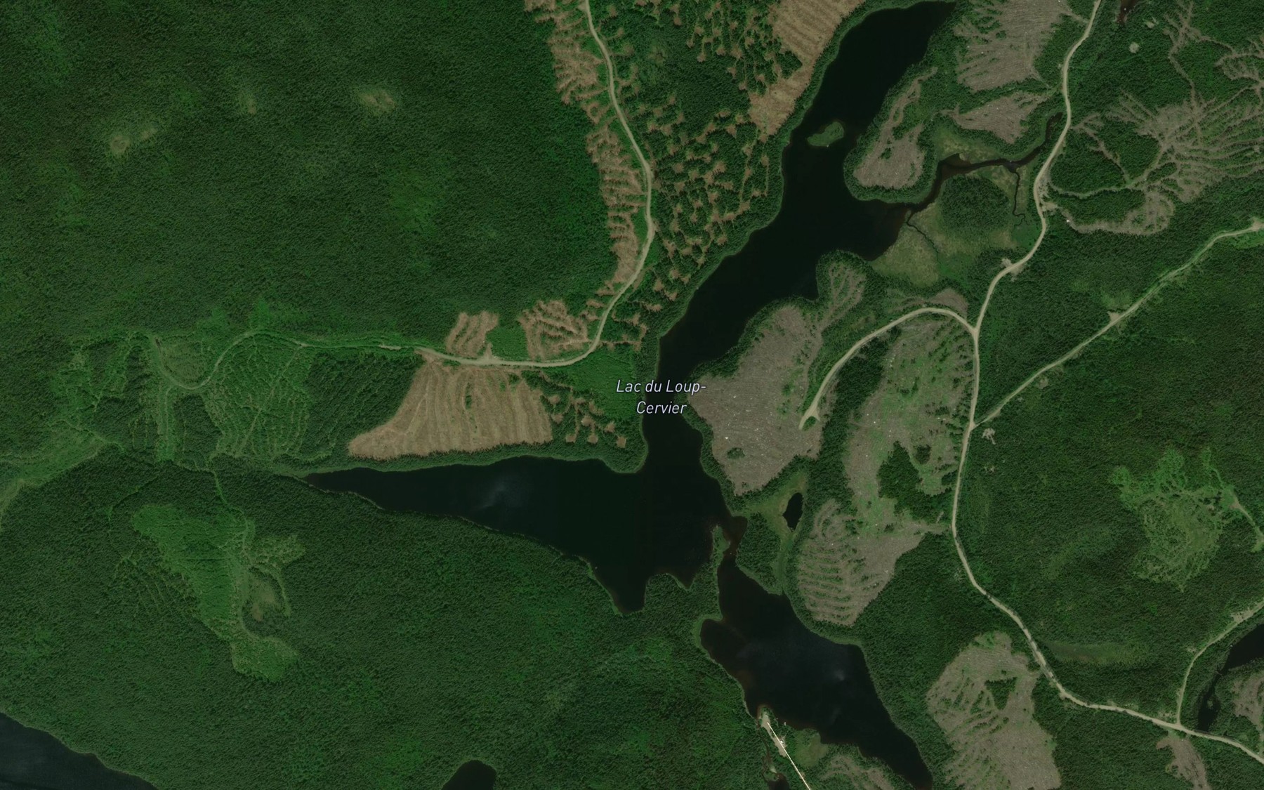 Satellite map of the Lac du Loup-Cervier