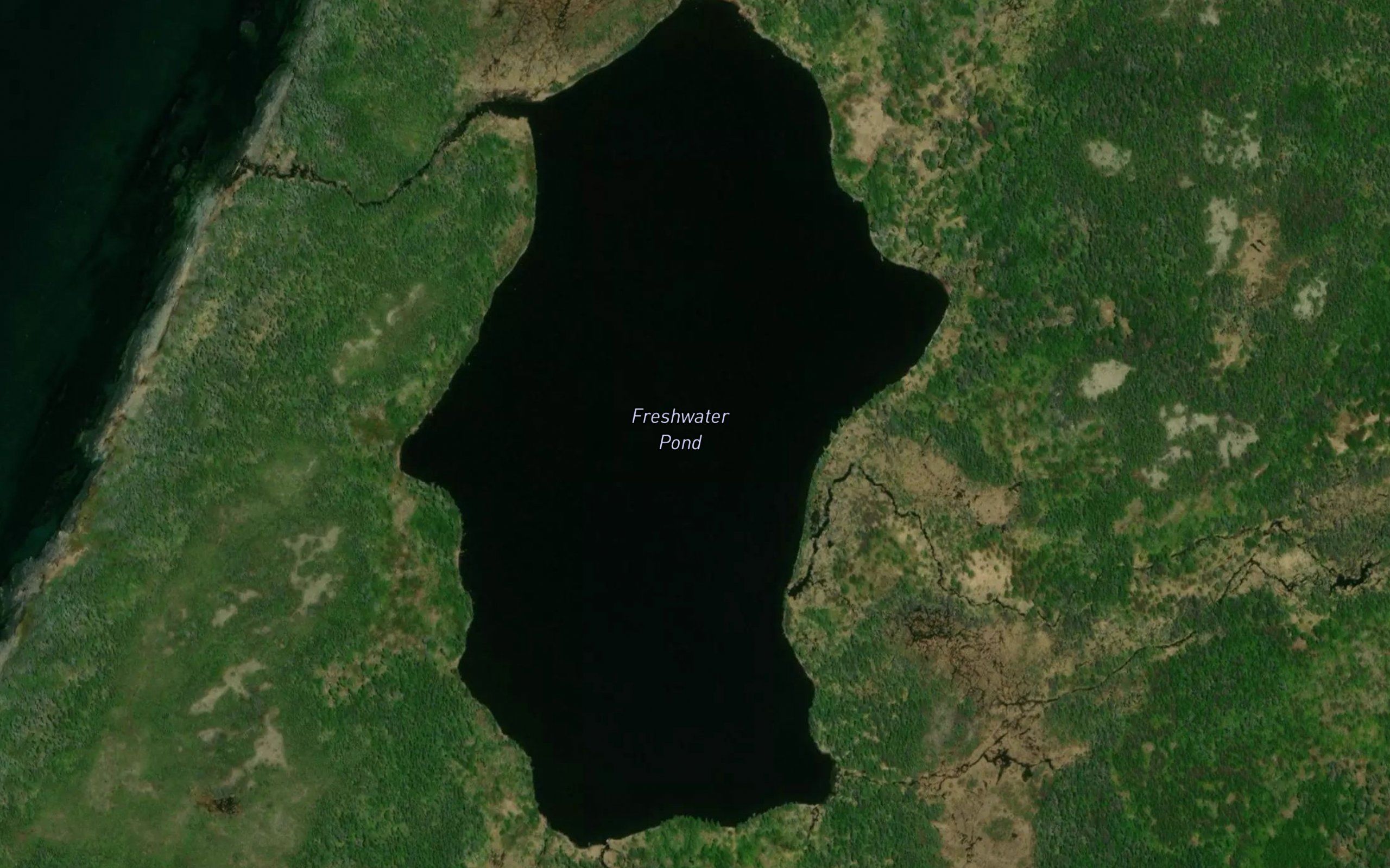 Freshwater Pond