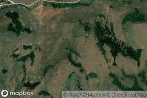 Cub Spring