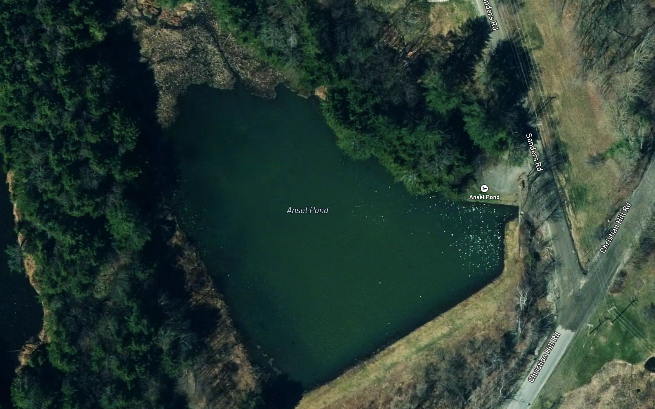 Ansel Pond