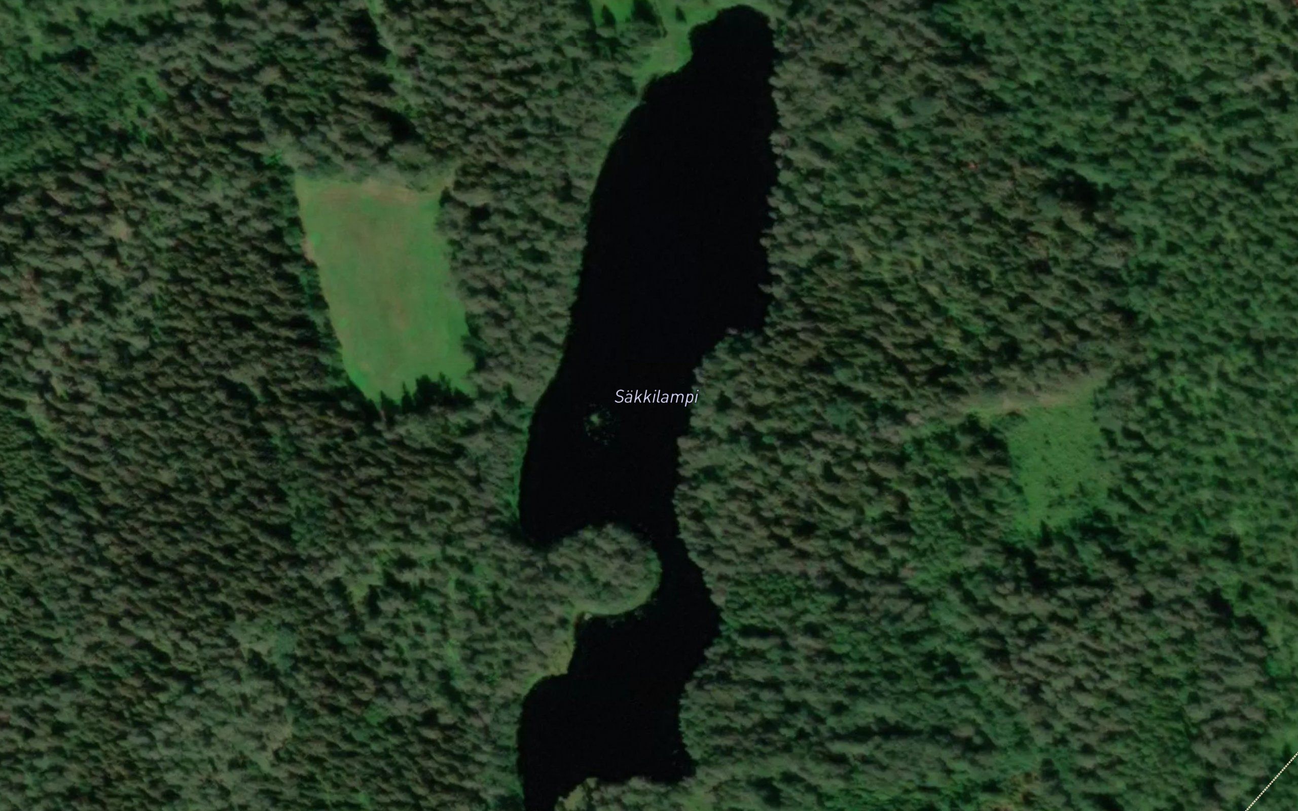 Sakkilampi