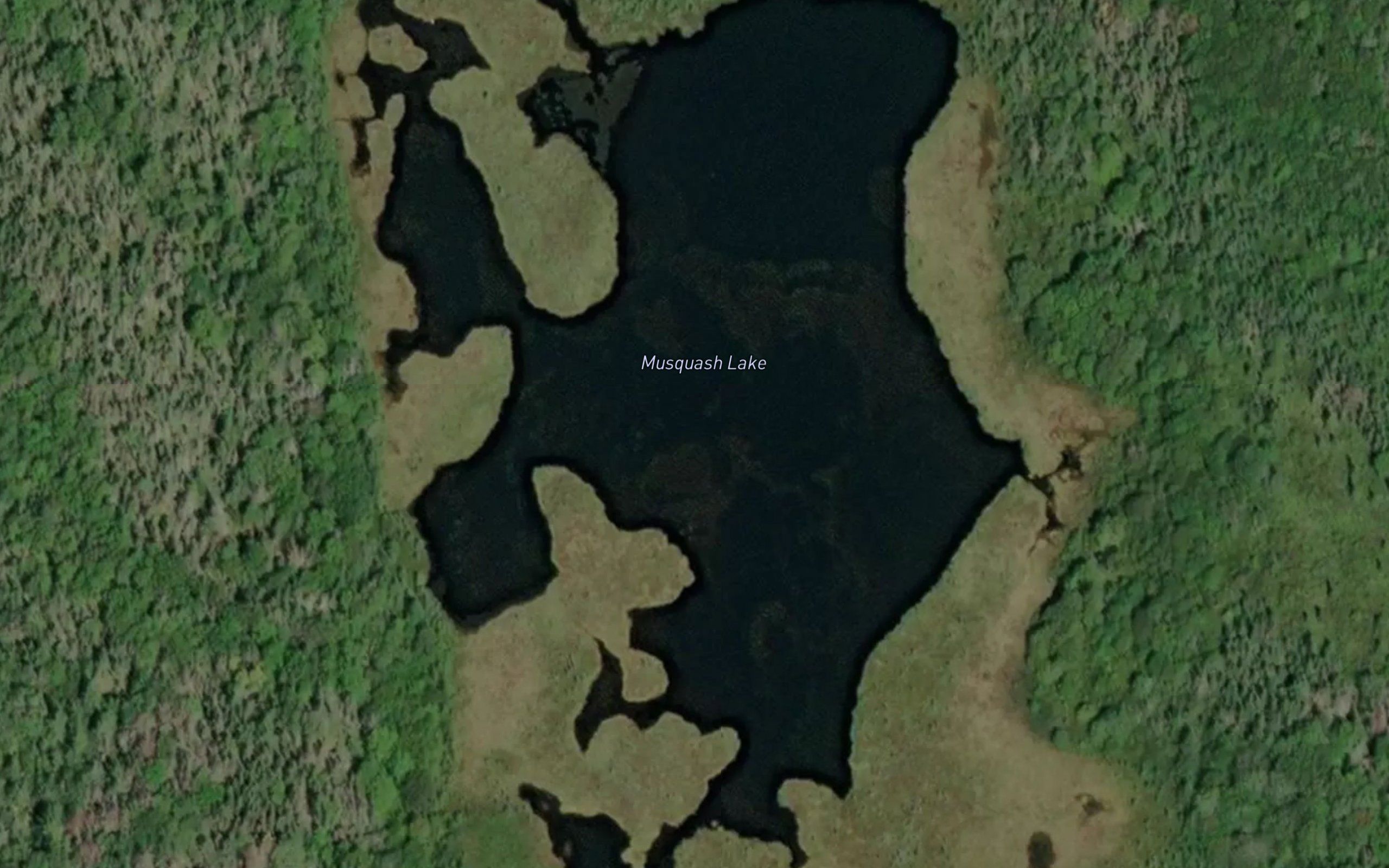 Musquash Lake