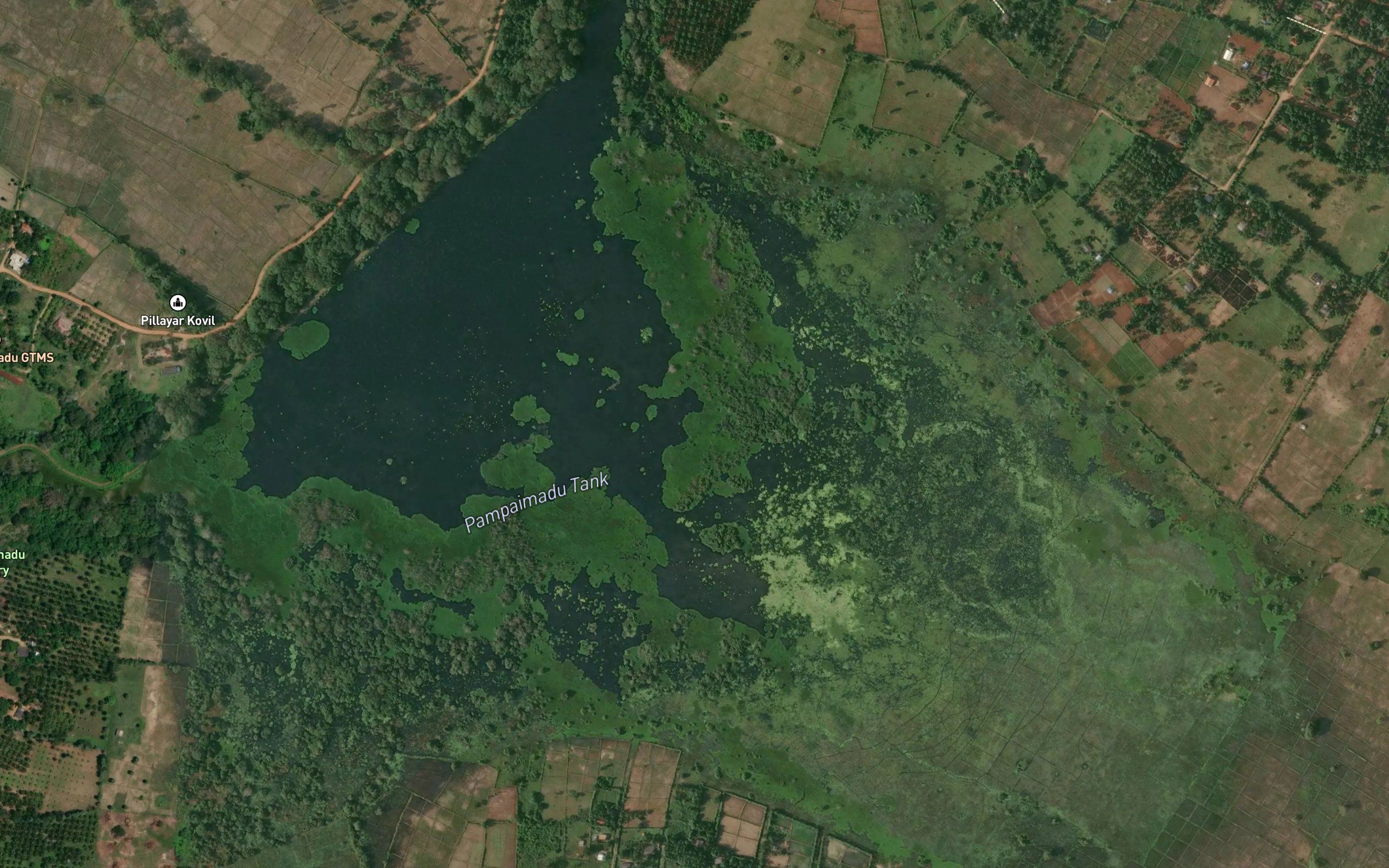 Pampaimadu