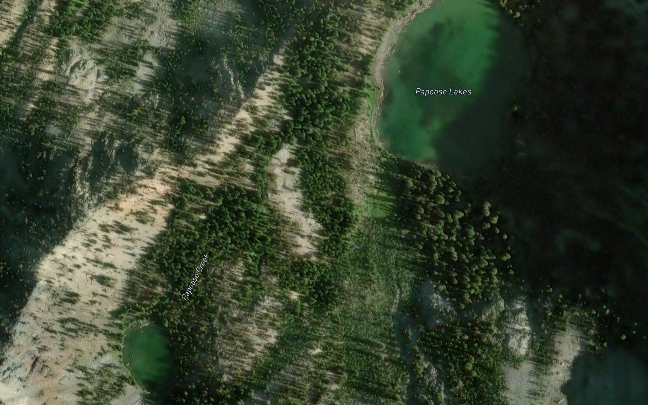 Papoose Lakes