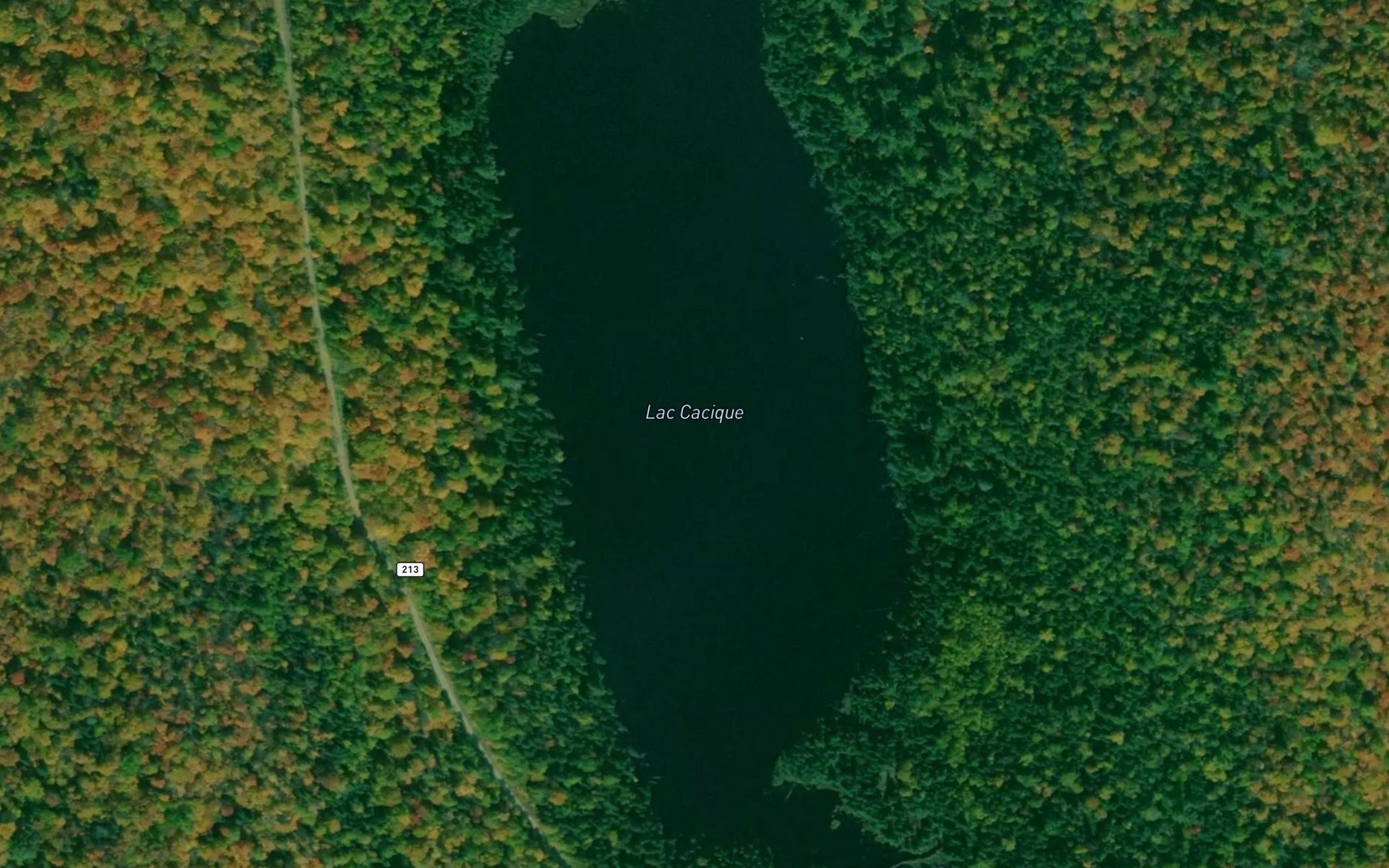 Satellite map of the Lac Cacique
