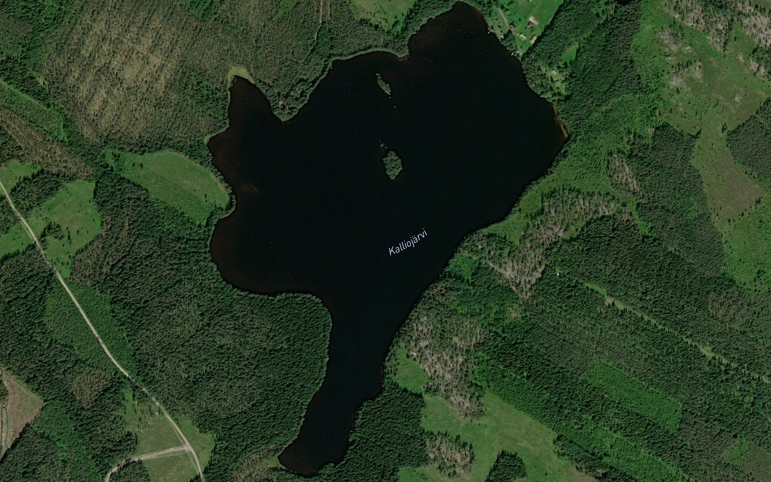 Kalliojarvi