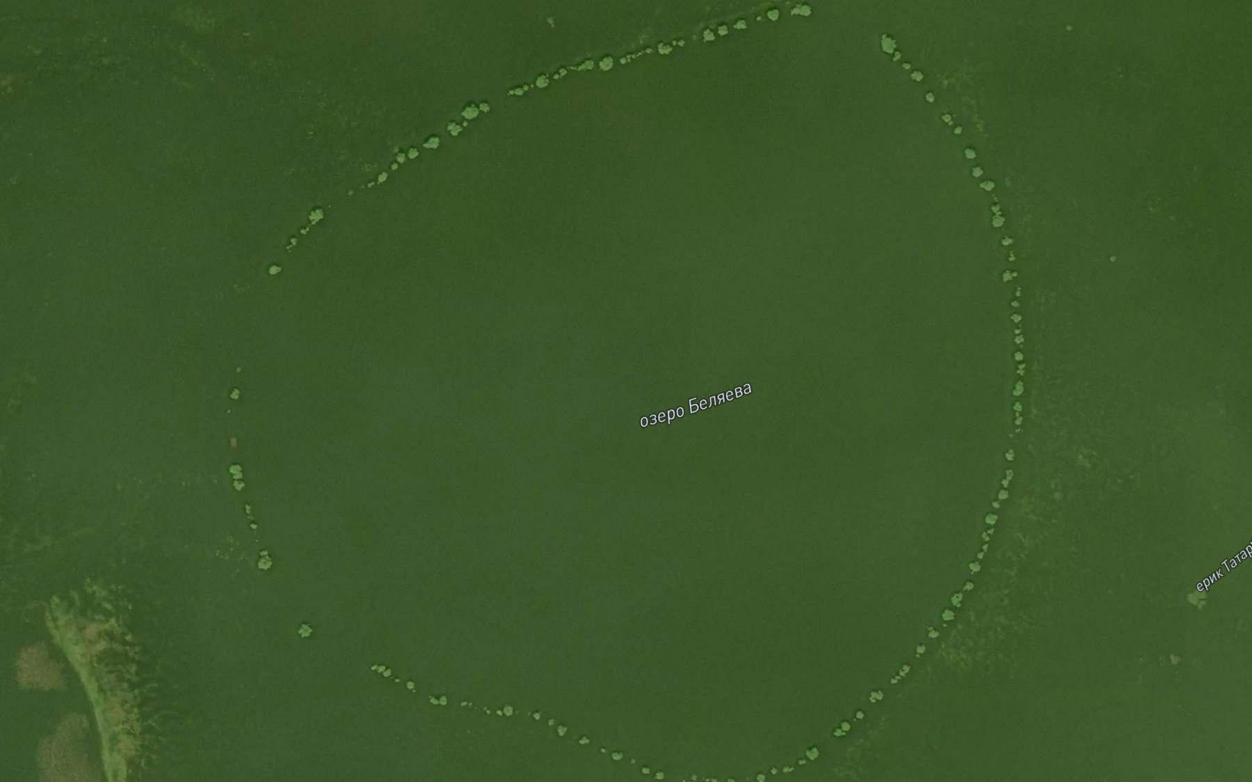 Satellite map of the Ozero Belyayeva