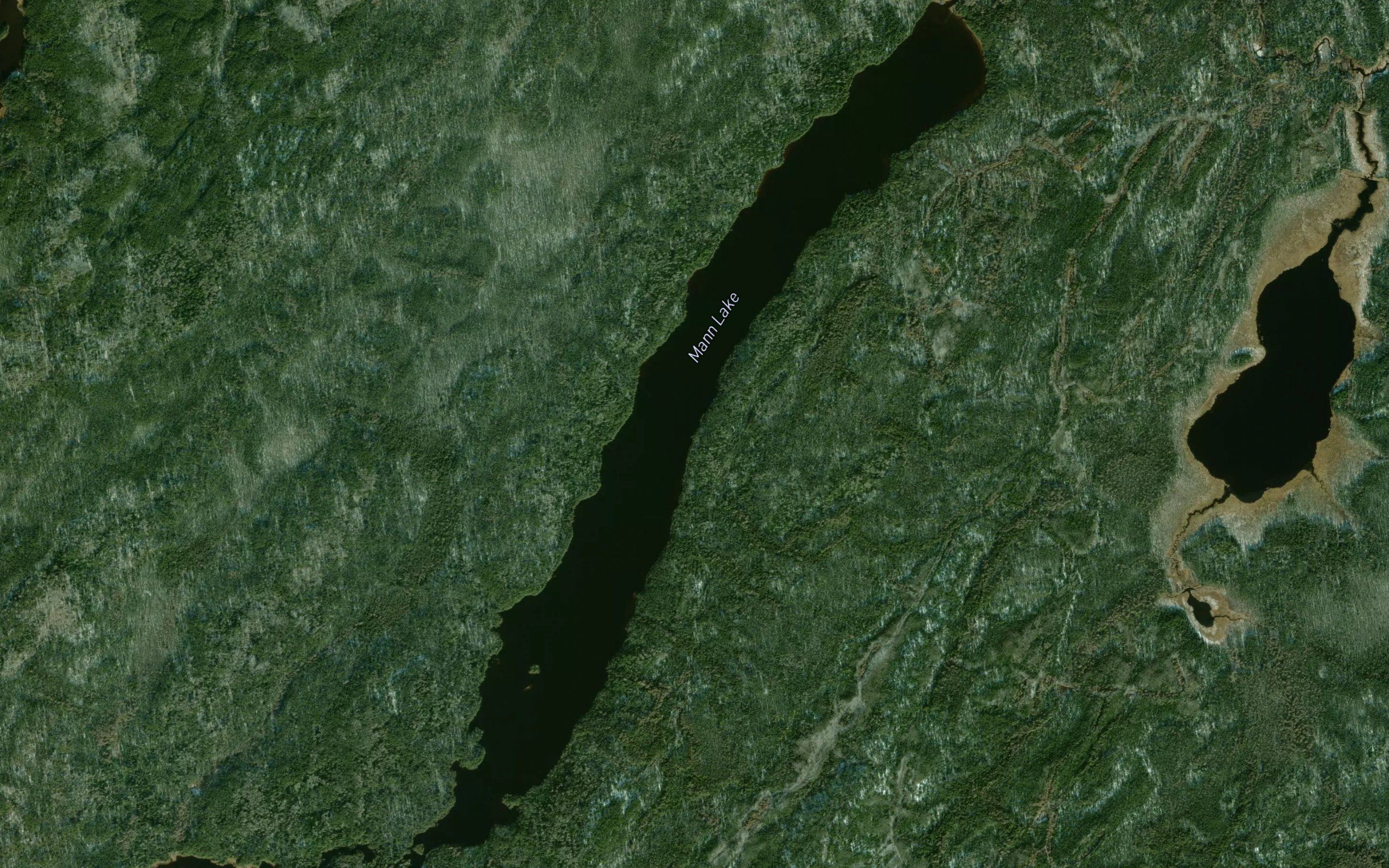 Mann Lake