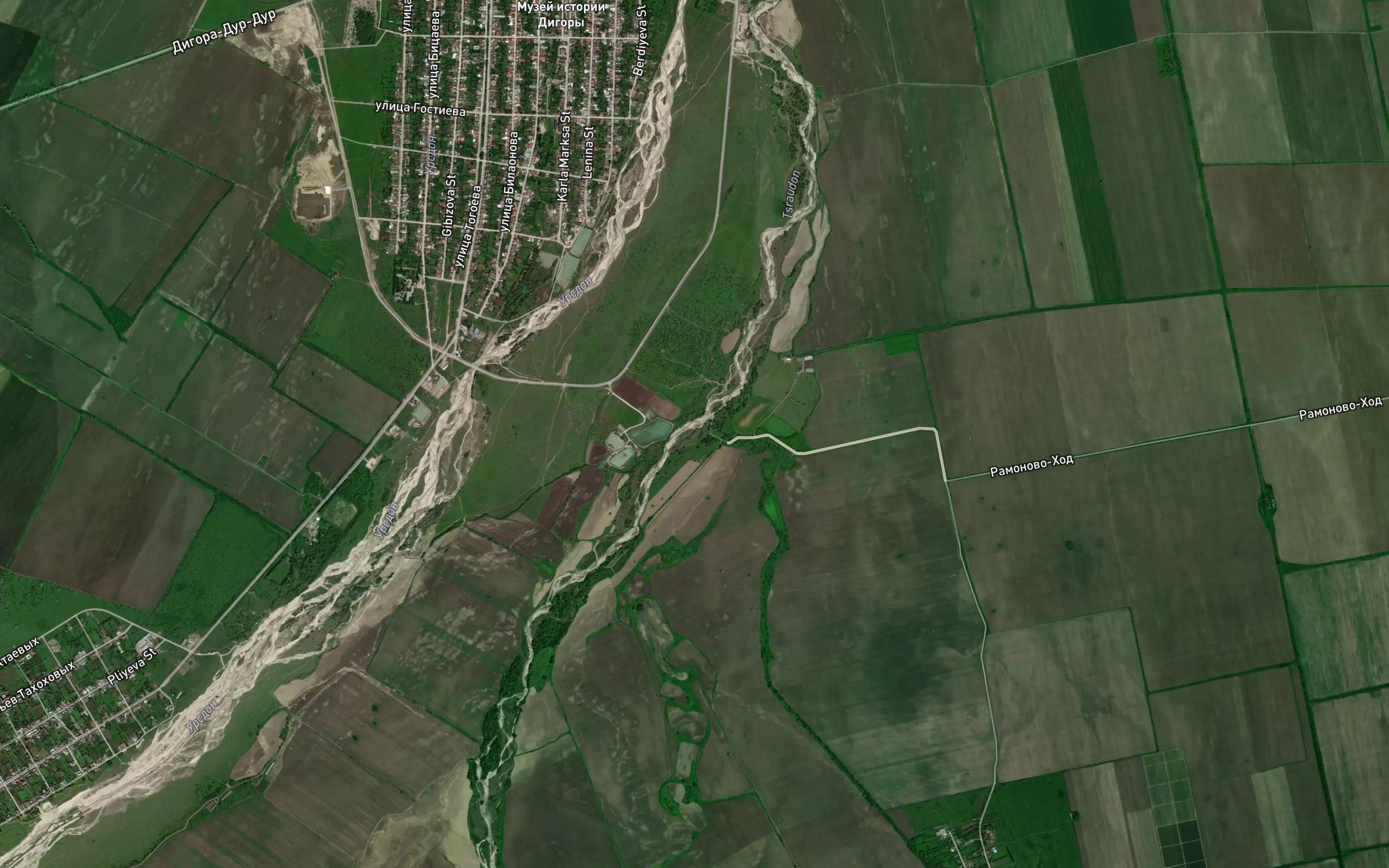 Tsachdon
