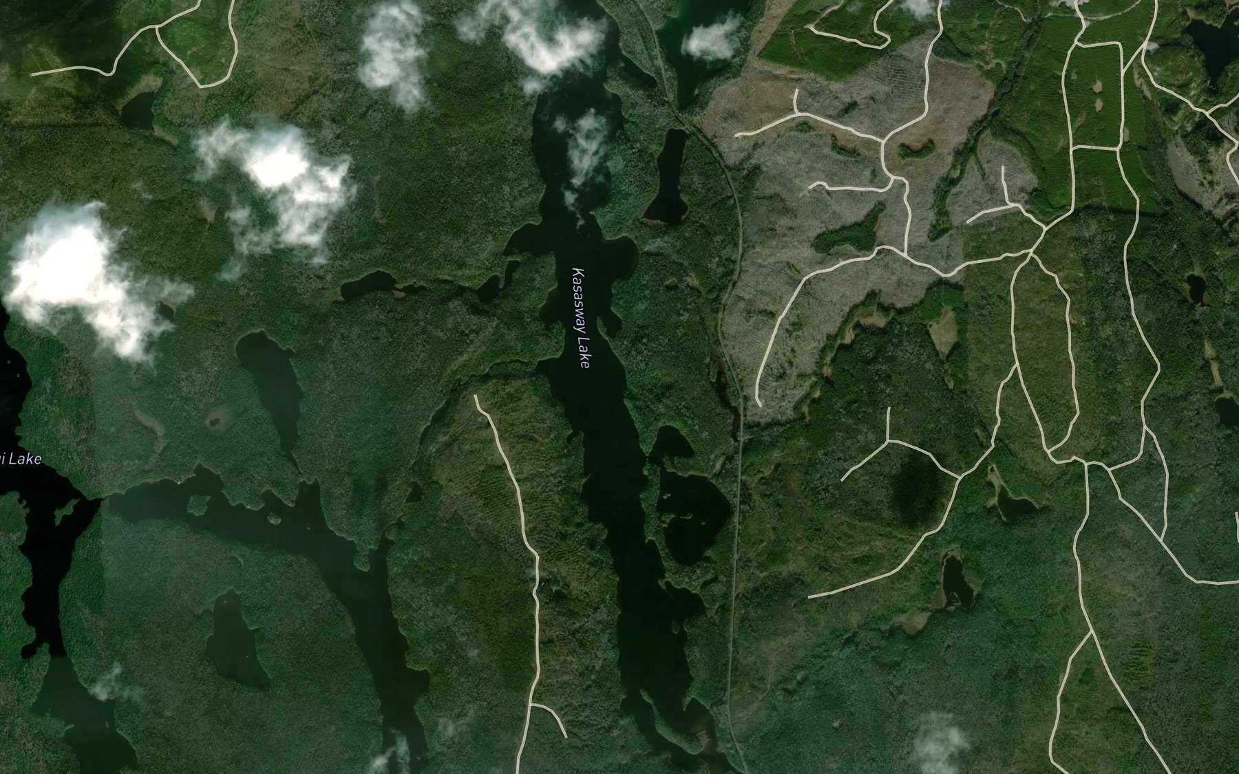 Satellite map of the Kasasway Lake
