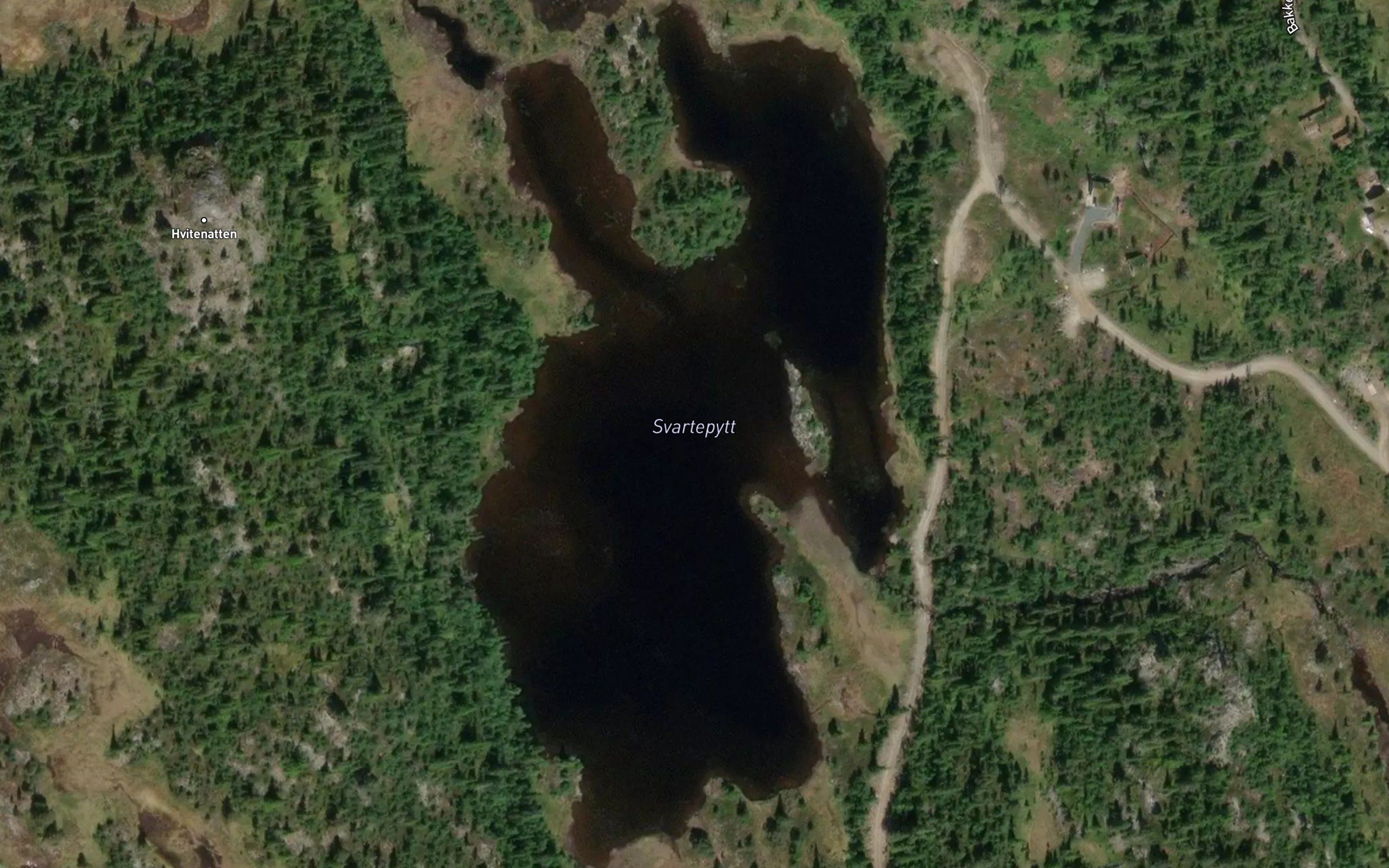 Svartepytt