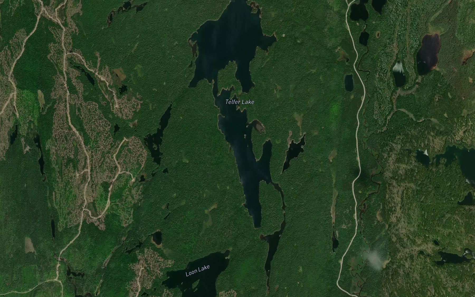 Satellite map of the Telfer Lake