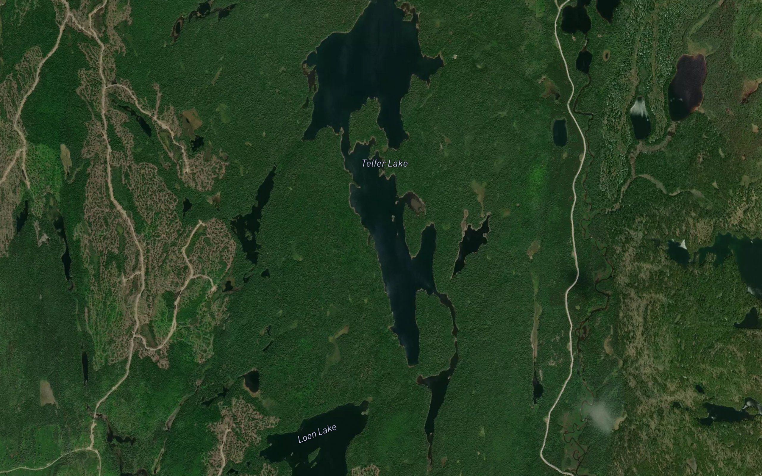 Telfer Lake