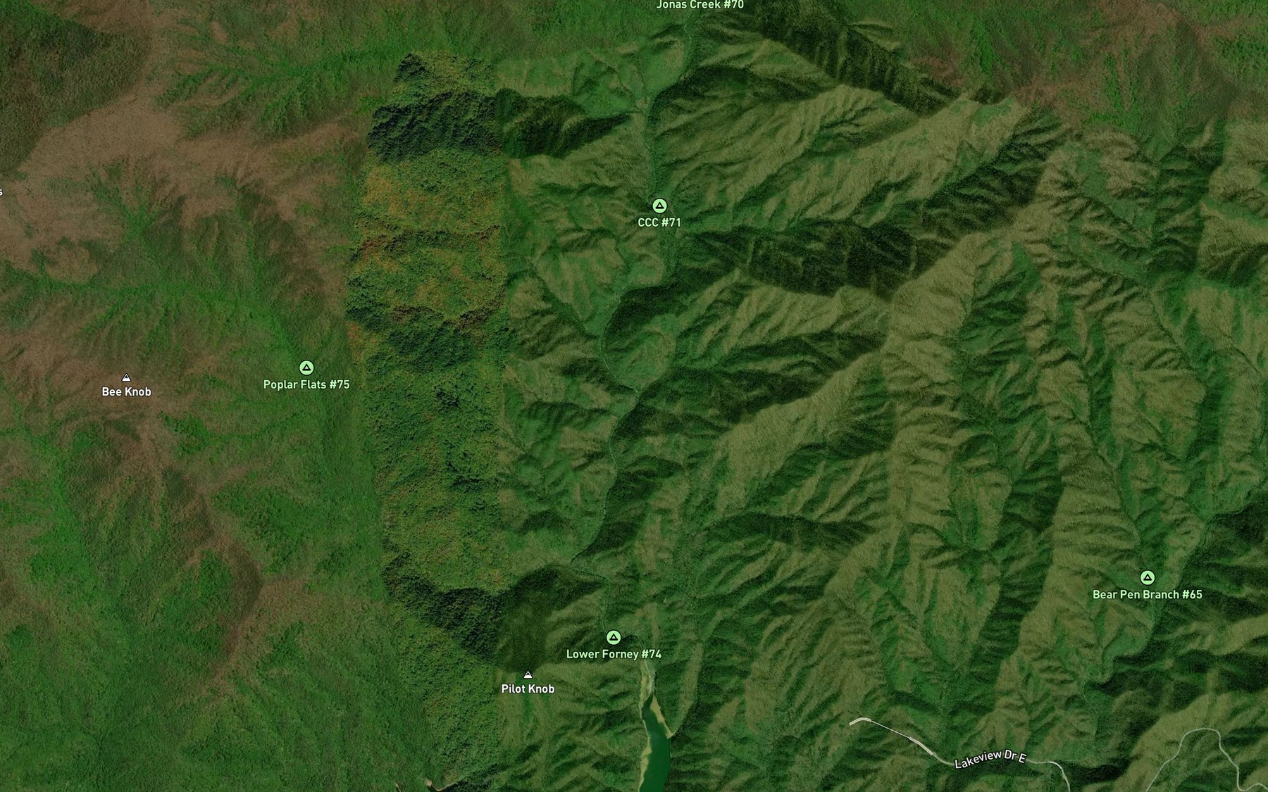 Satellite map of the Whiteoak Branch