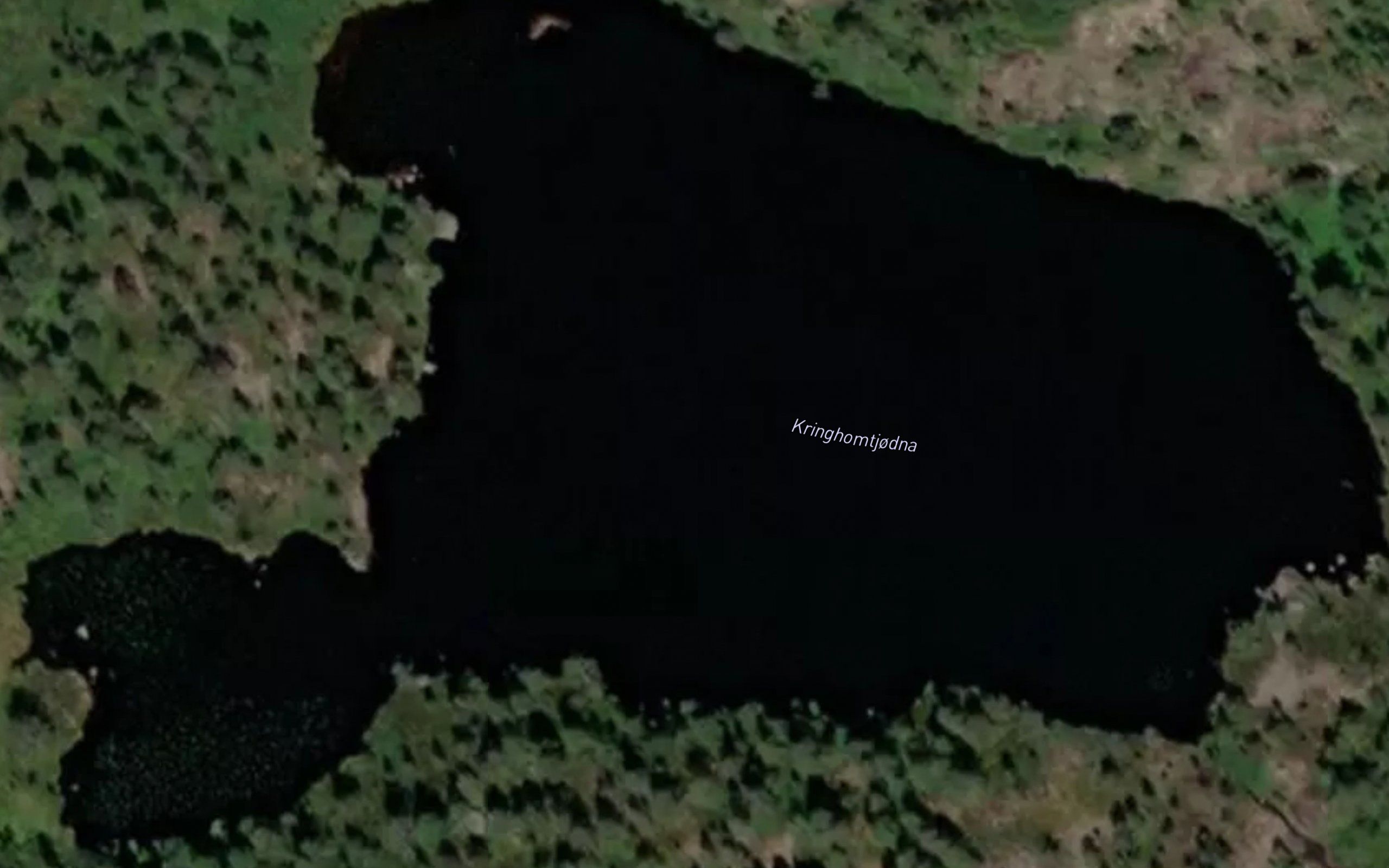 Kringhomtjodna