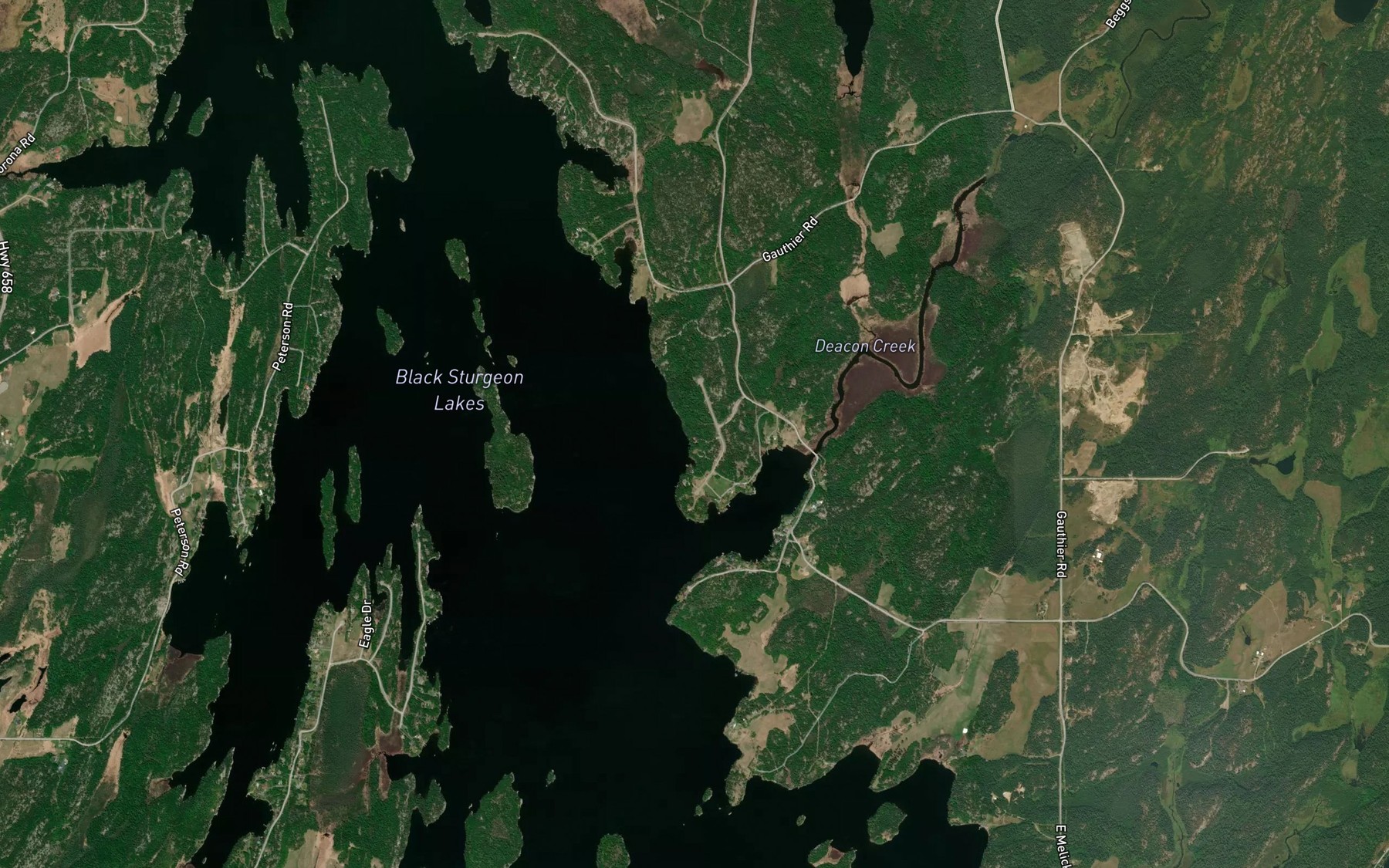 Satellite map of the Black Sturgeon Lakes
