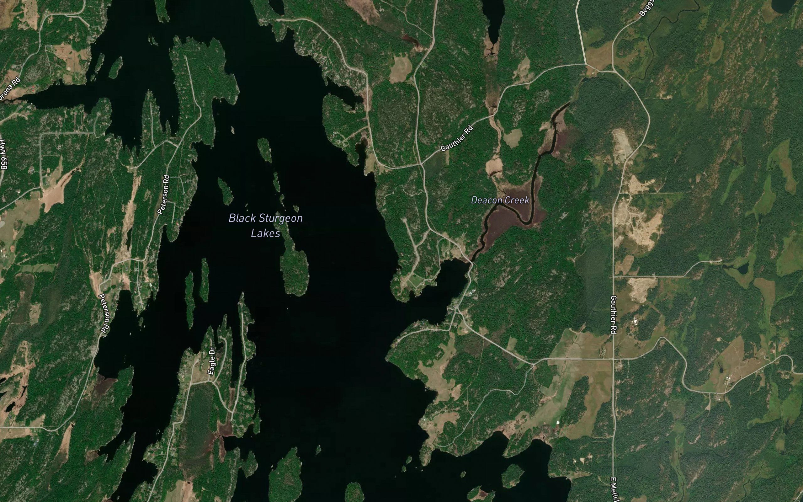 Black Sturgeon Lakes