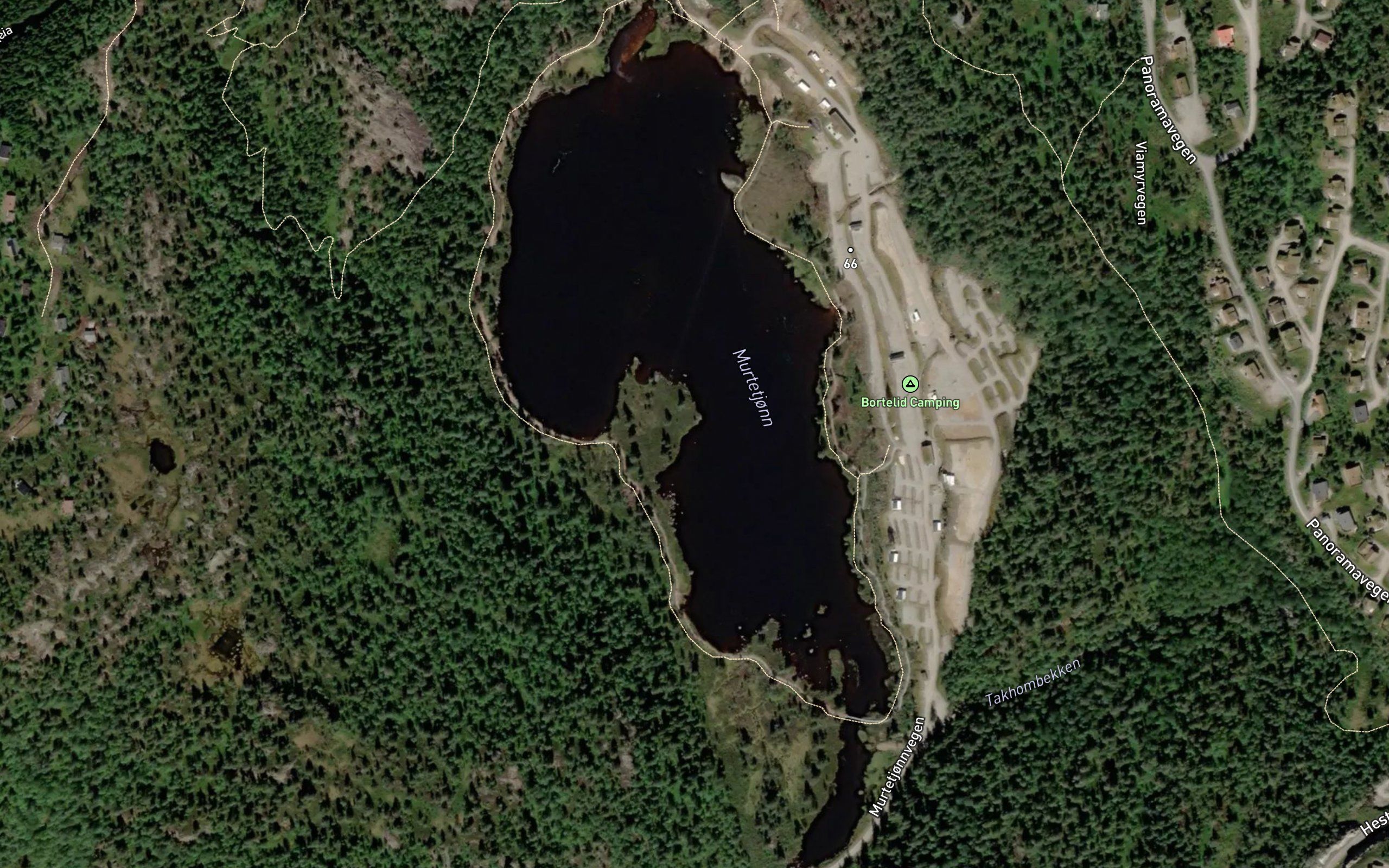 Murtetjorn