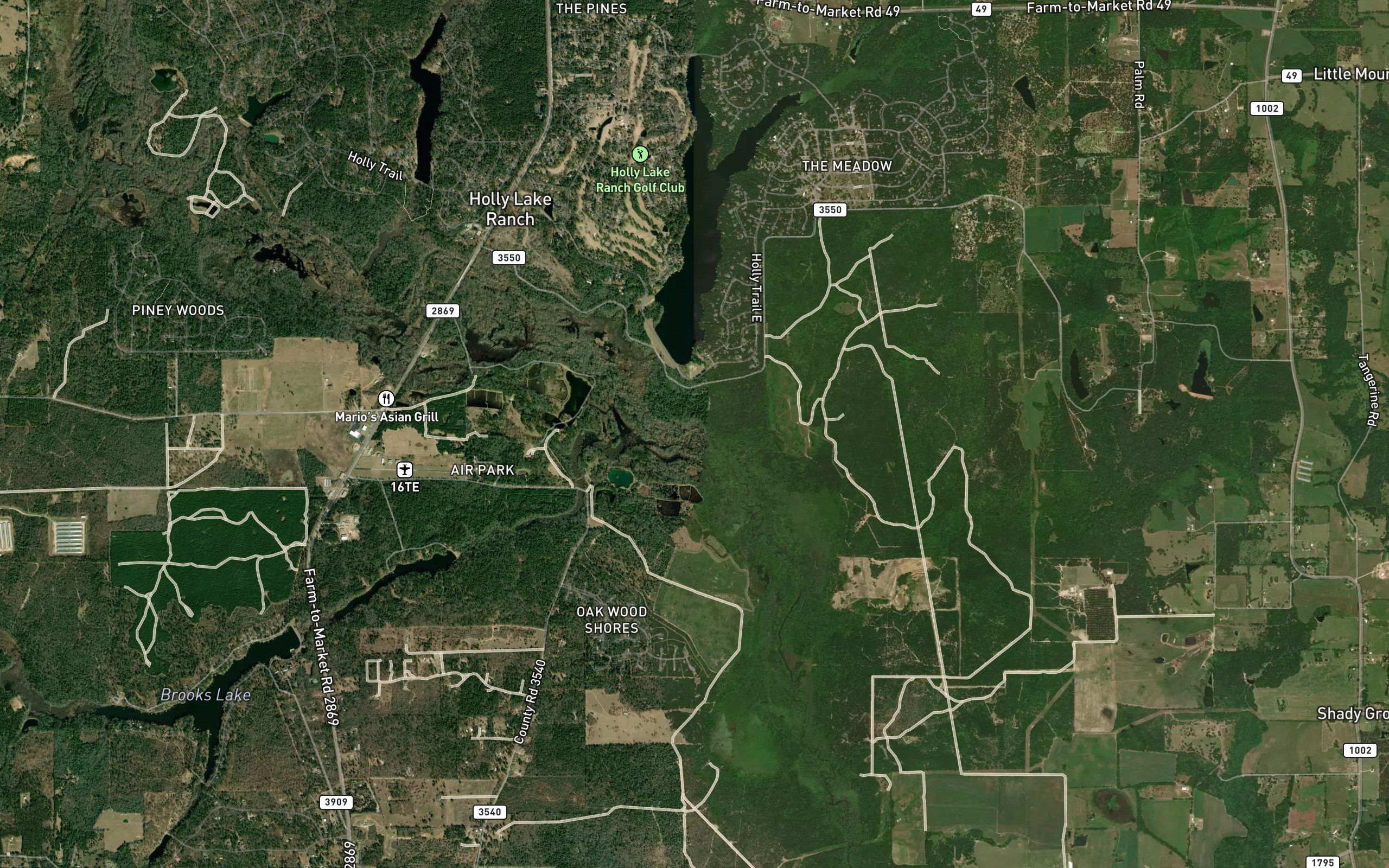 Boggy Creek