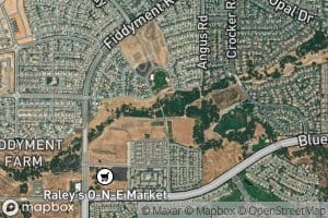 South Branch Pleasant Grove Creek