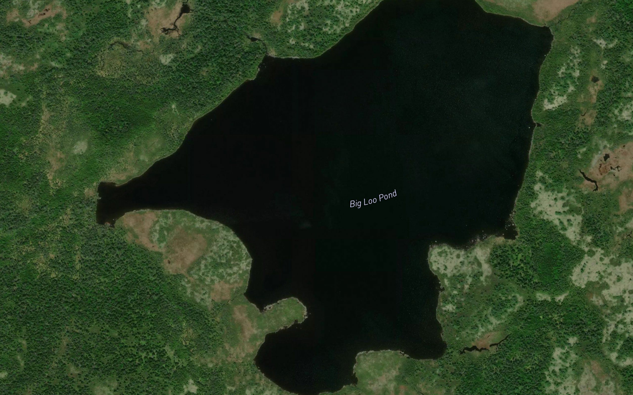 Big Loo Pond