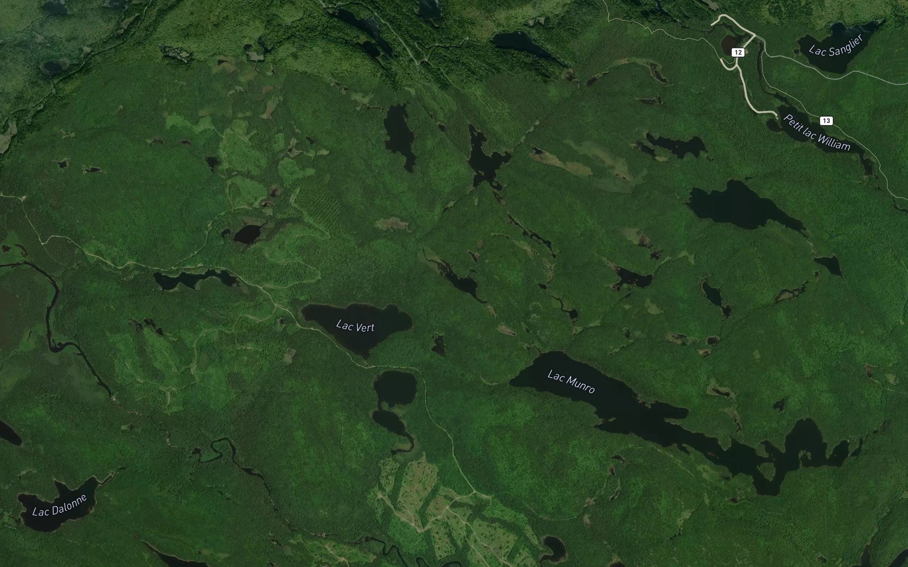 Satellite map of the Lac du Rat Musque