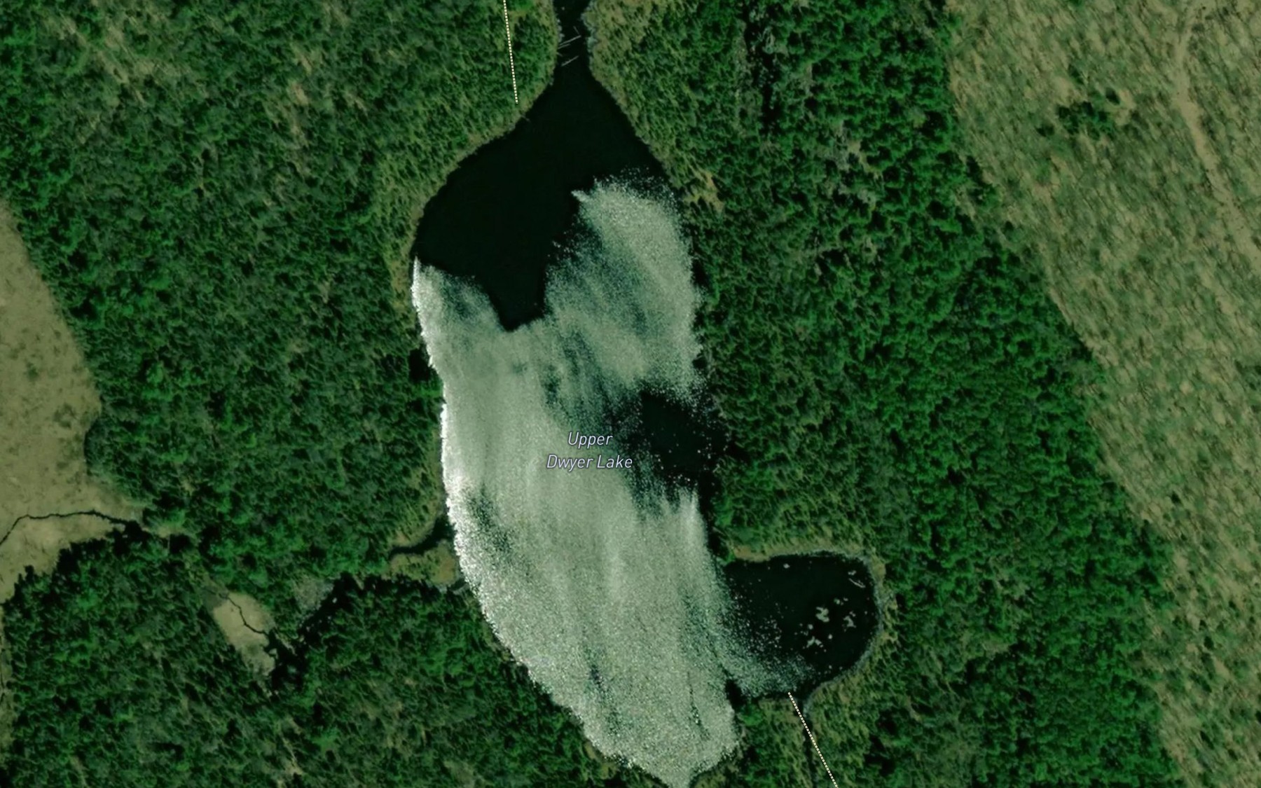 Satellite map of the Upper Dwyer Lake