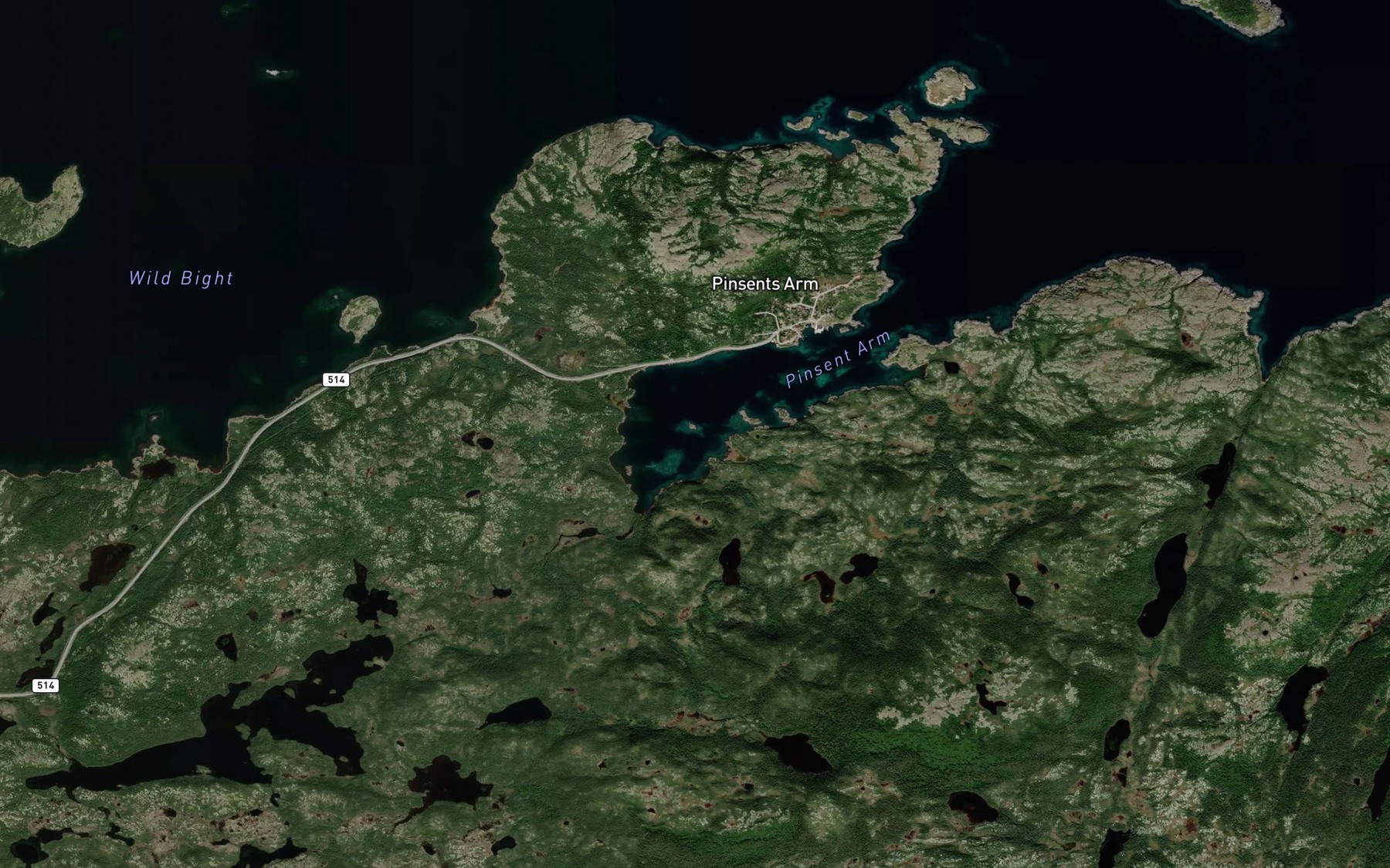 Satellite map of the Pinsent Arm