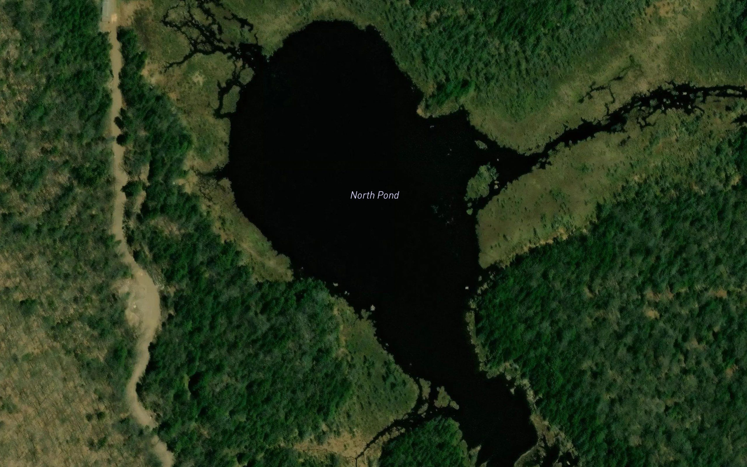 North Pond