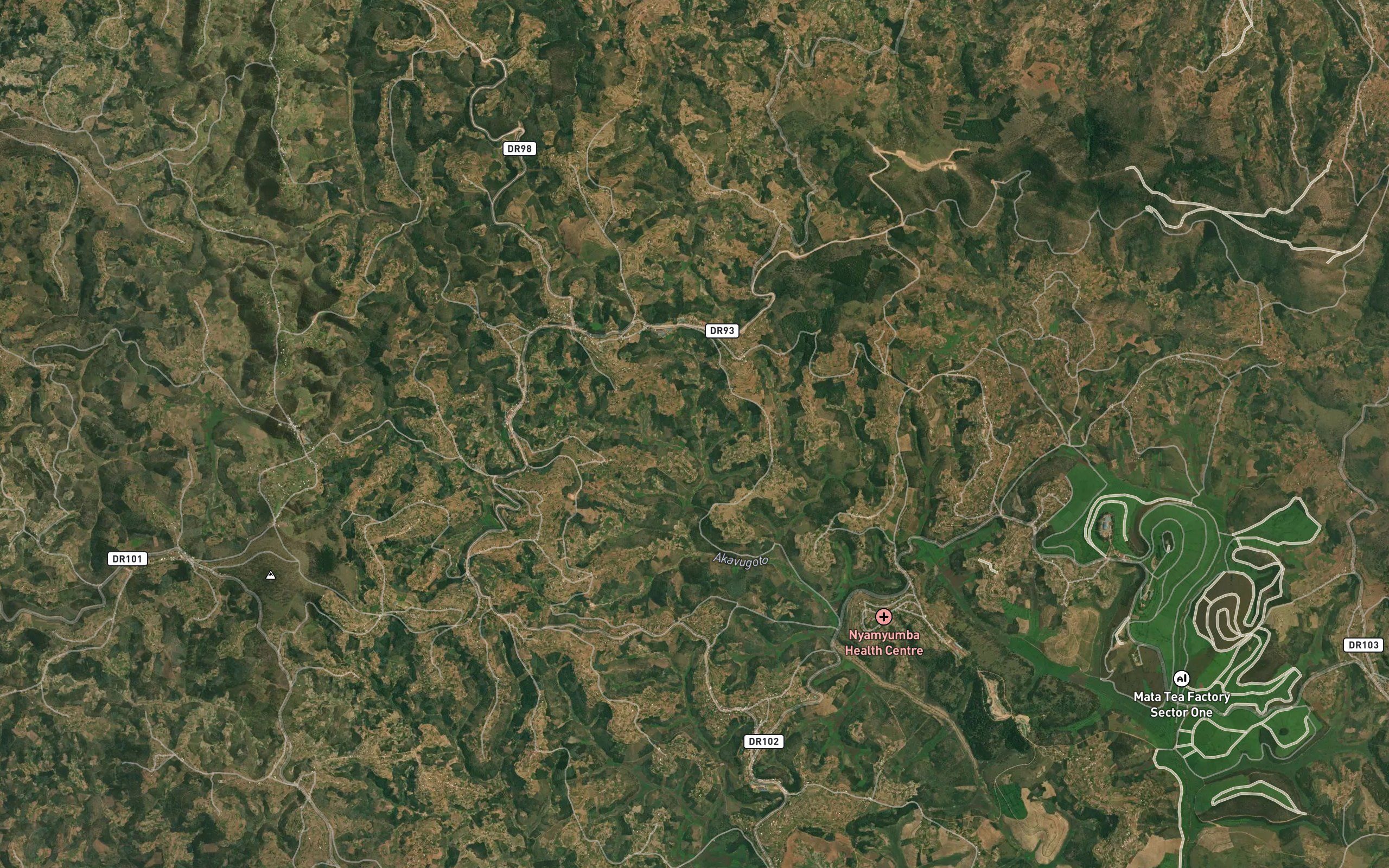 Umuduha