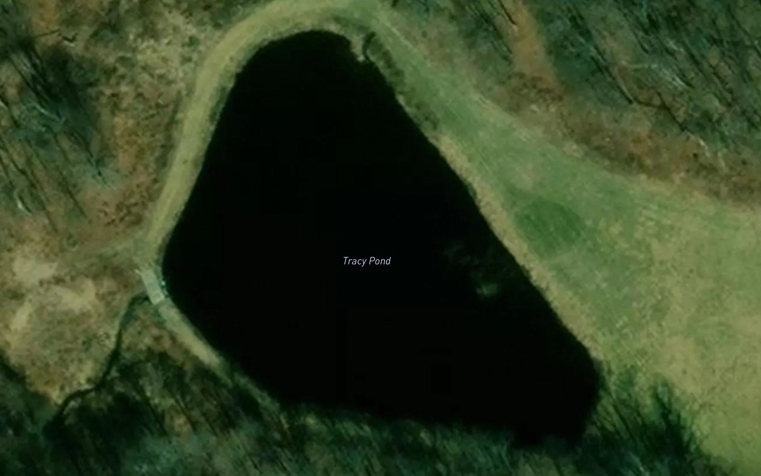 Tracy Pond