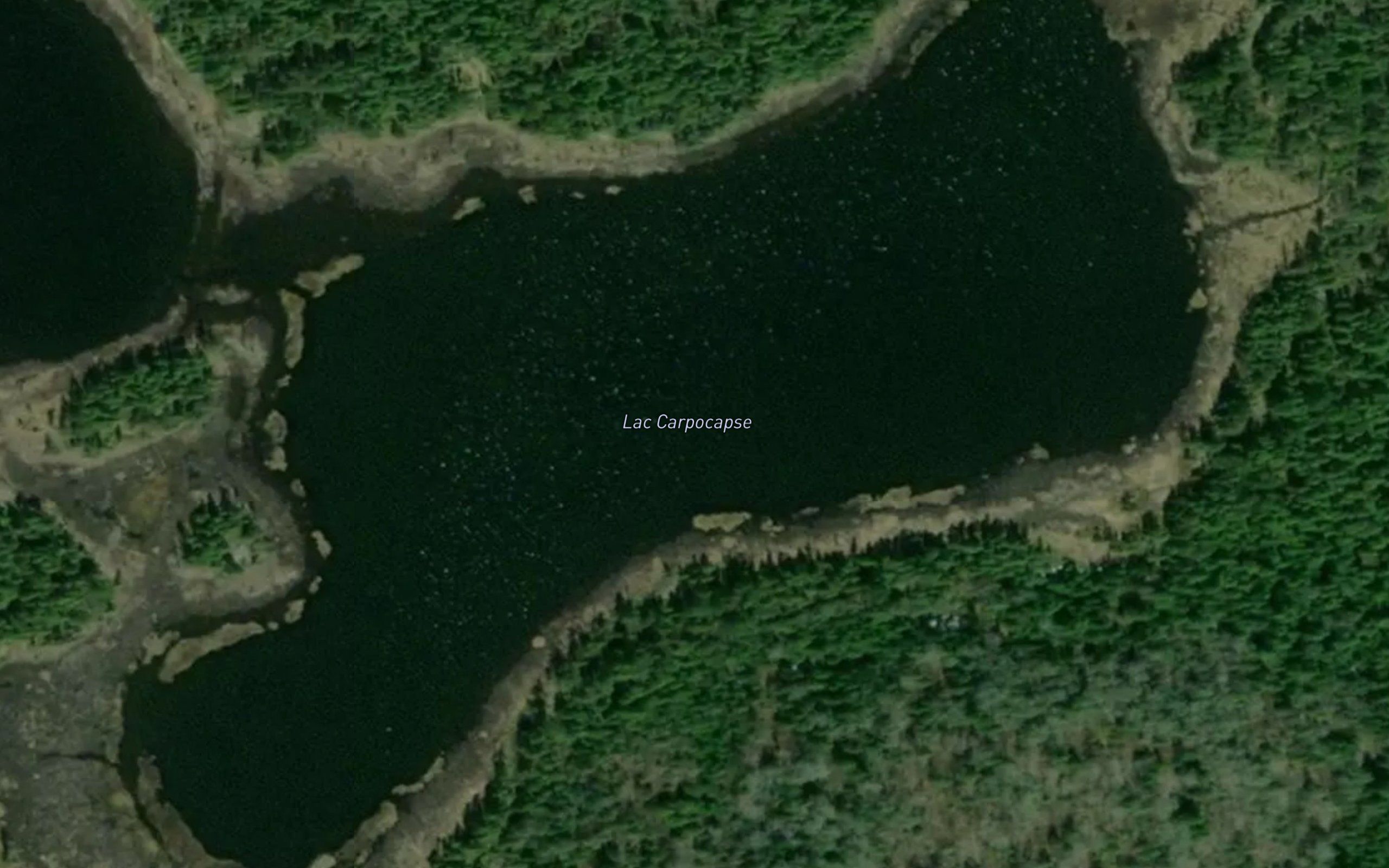 Lac Carpocapse