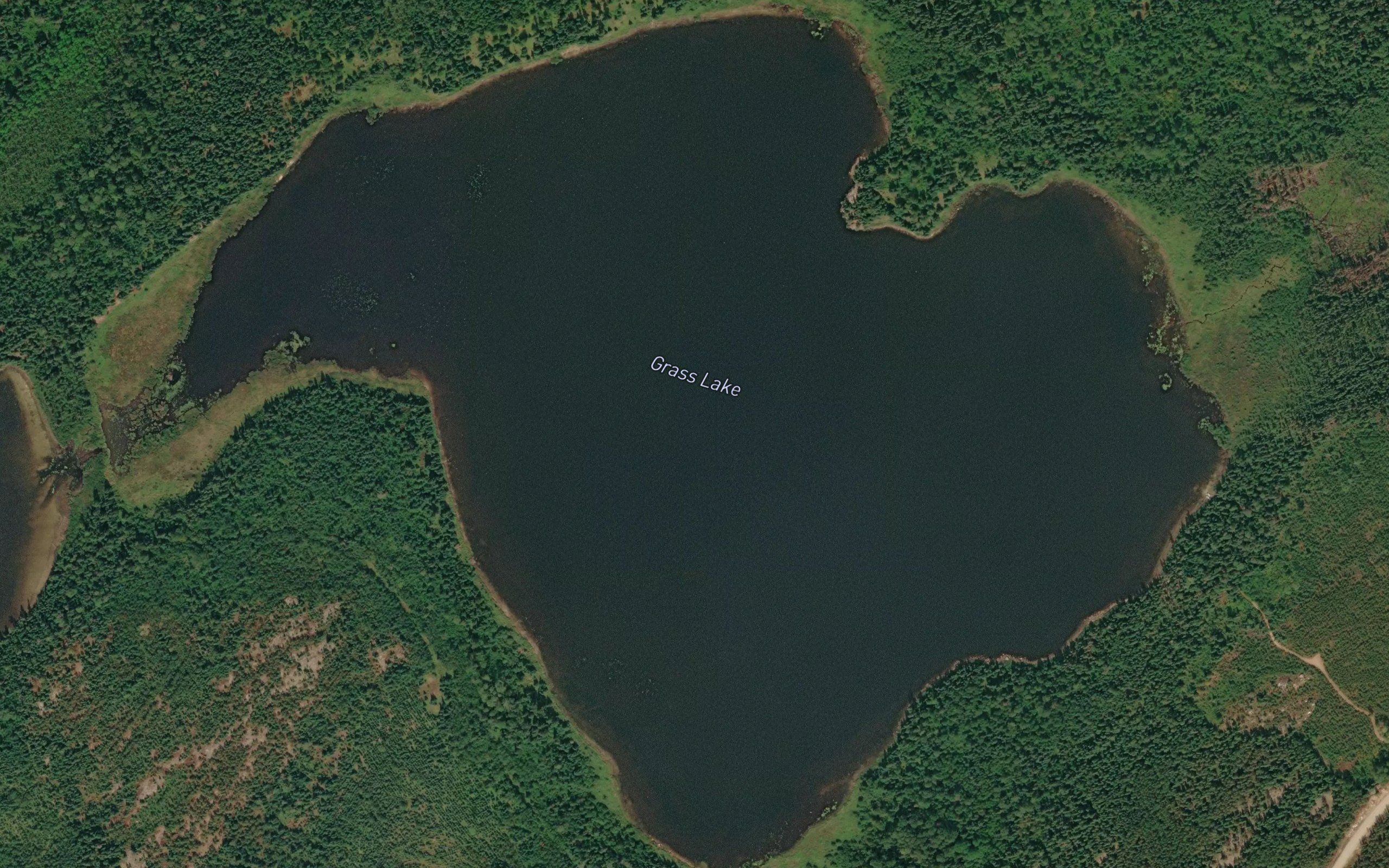 Grass Lake