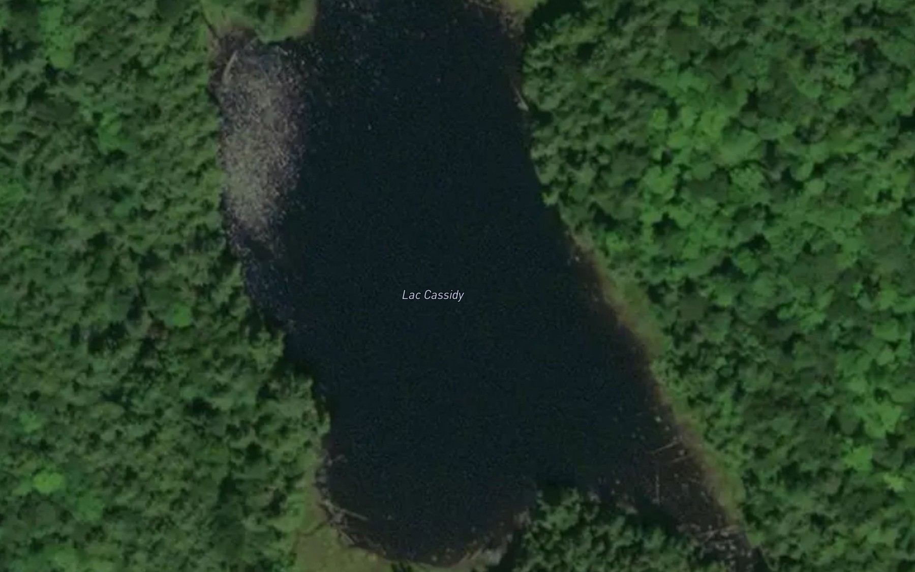 Satellite map of the Lac Cassidy