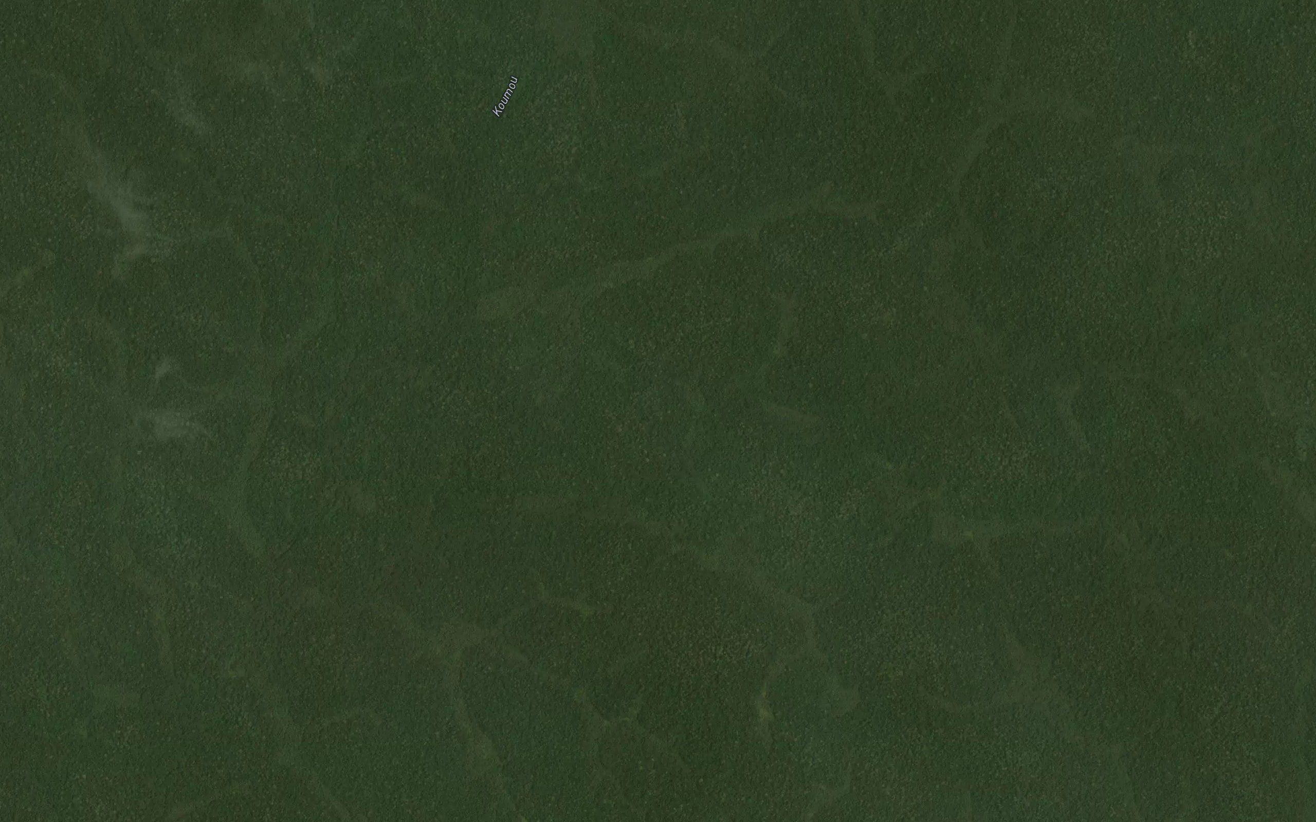 Ntomo