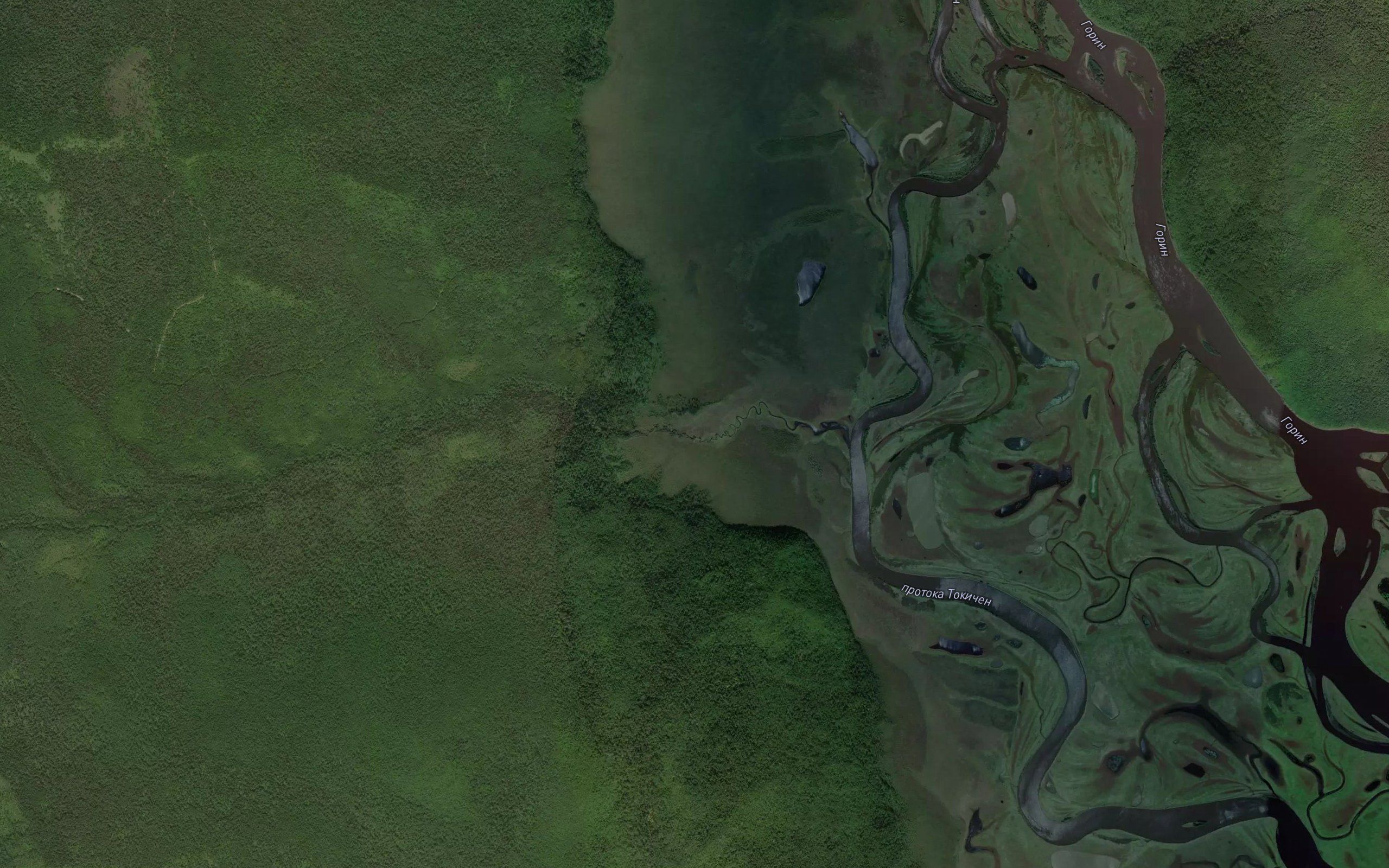 Khankuka