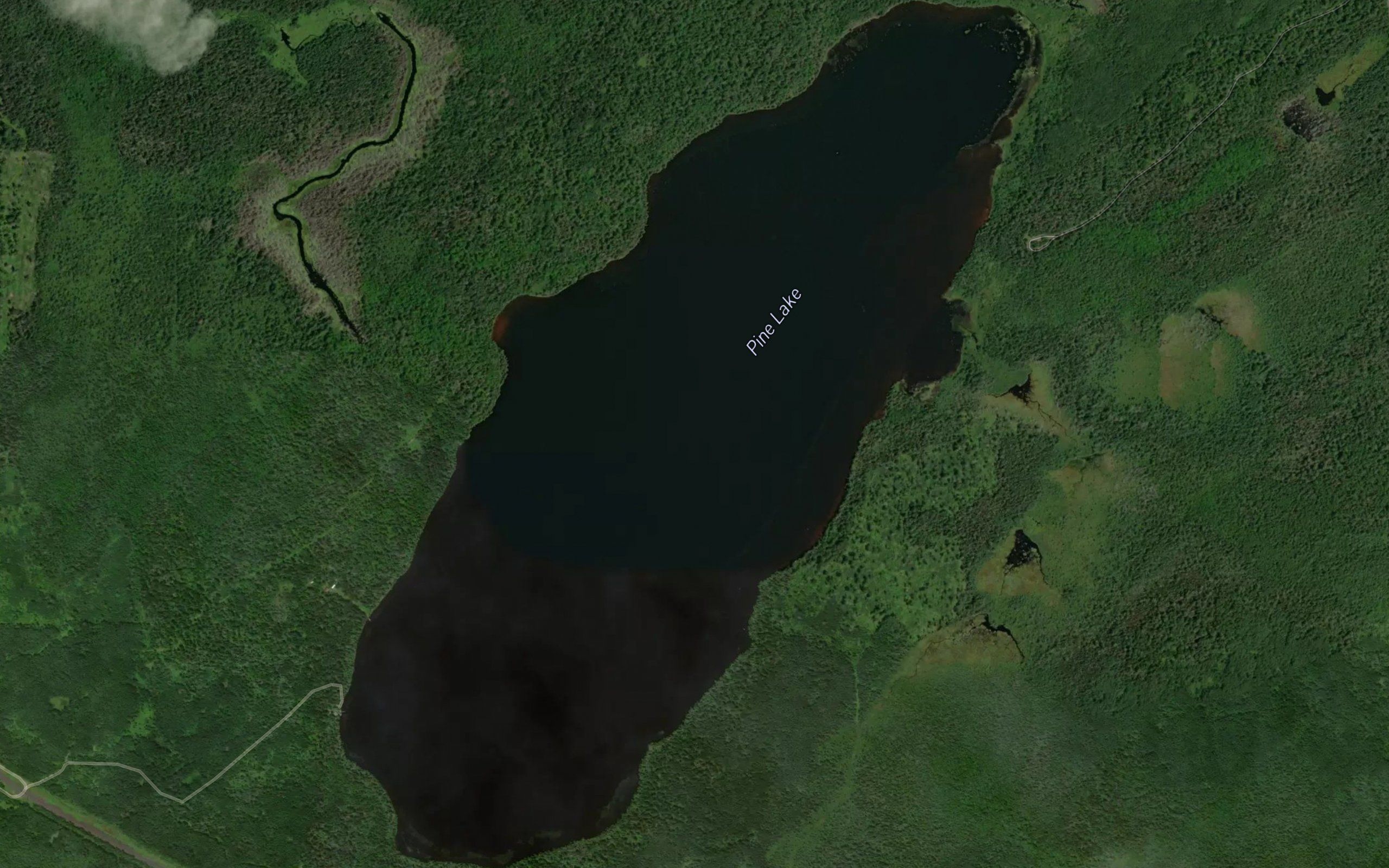 Pine Lake