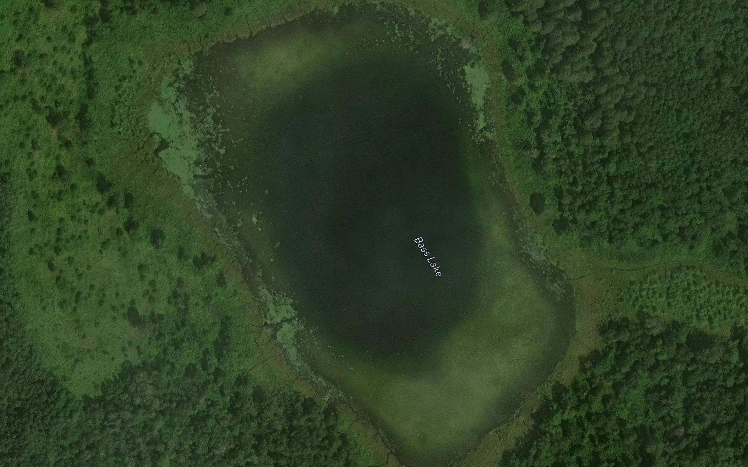 Bass Lake