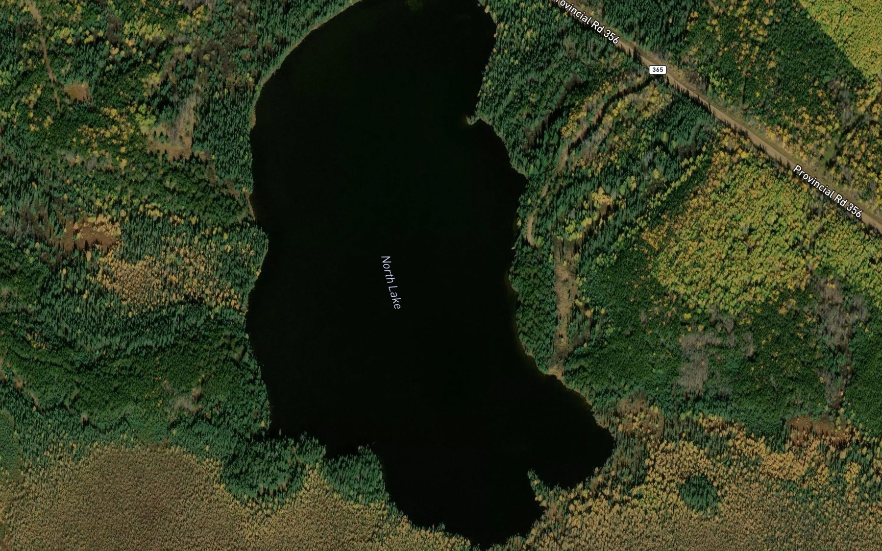 Satellite map of the North Lake