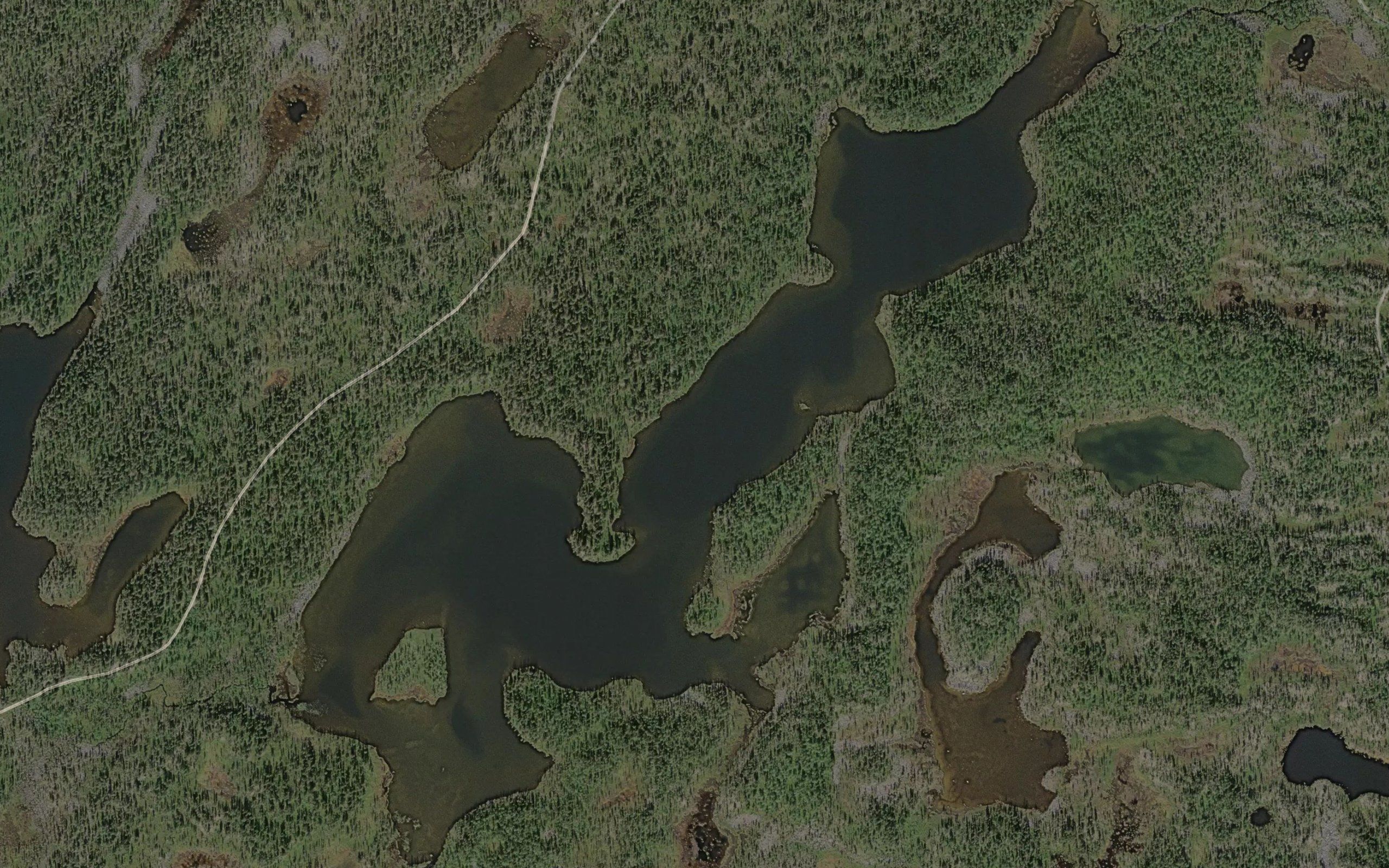 Abborvatnet