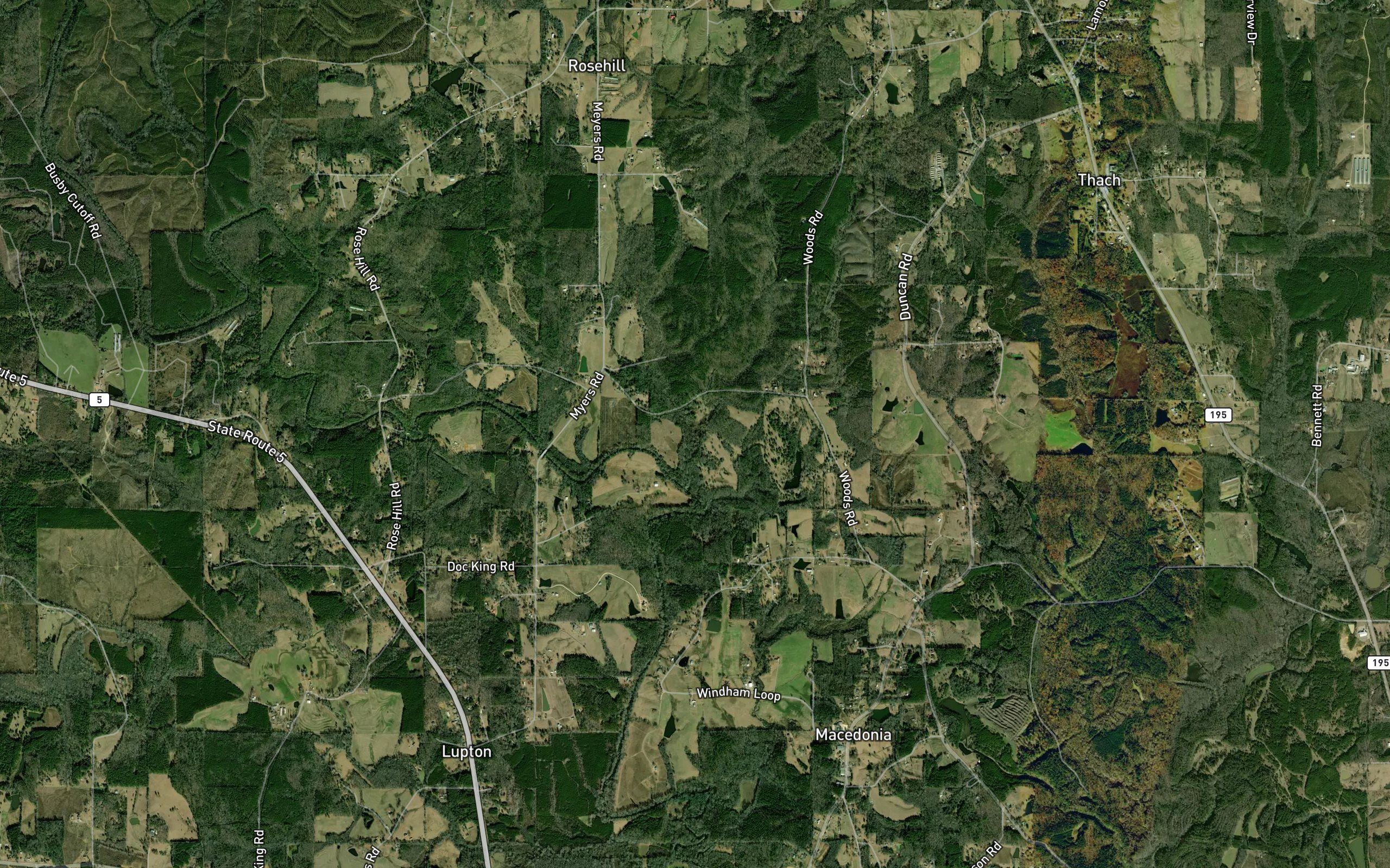 Gum Fork